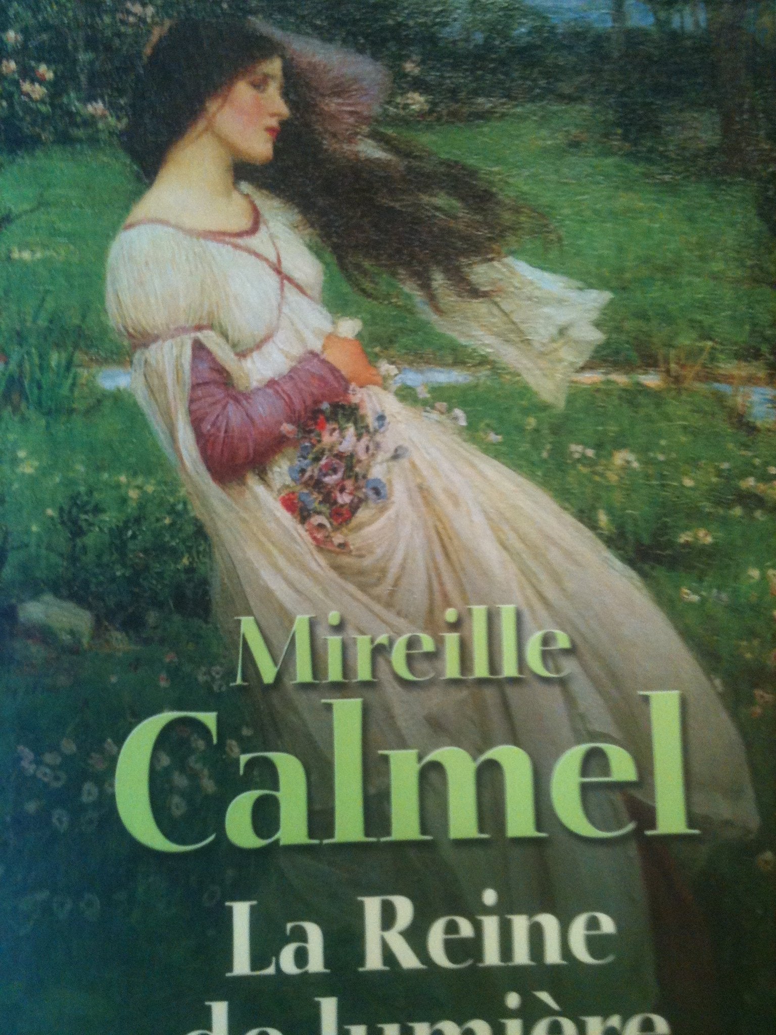LA REINE DE LUMIERE.TOME 1.ELORA.2.TERRA INCOGNITA book