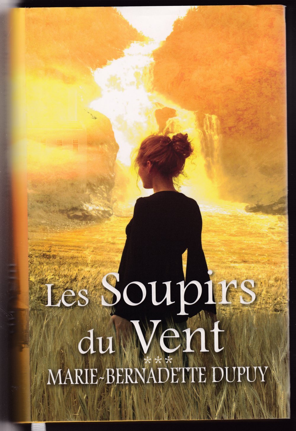 Les soupirs du vent Books