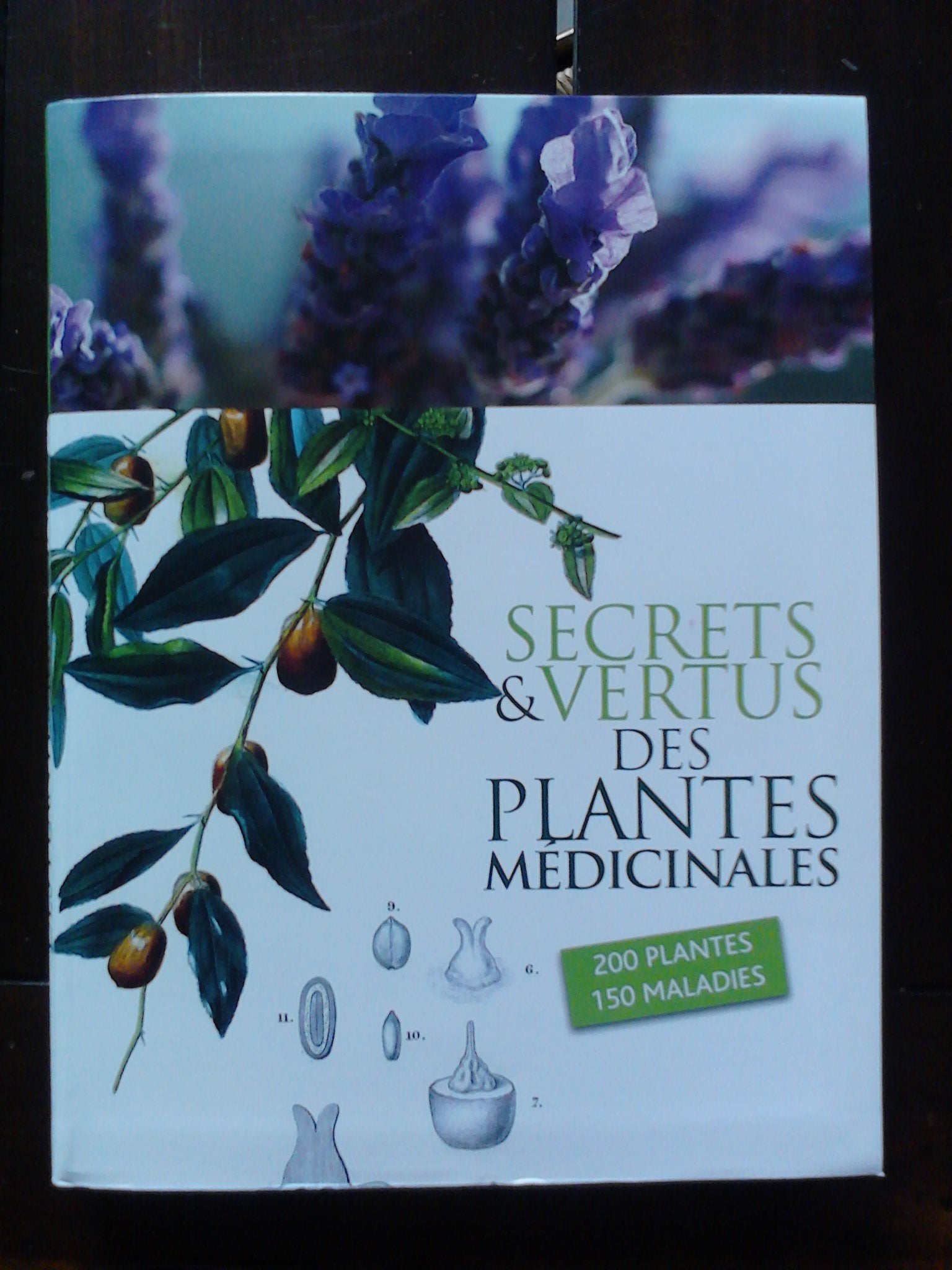 Secrets et vertus des plantes médicales Books