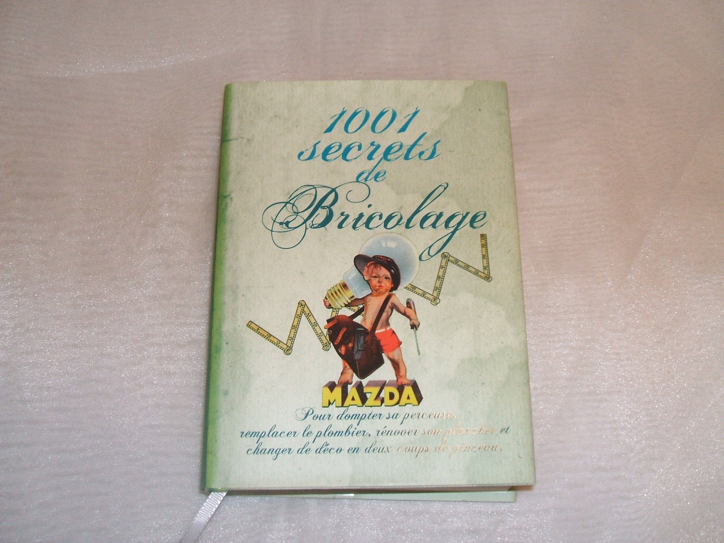 DENISE CROLLE-TERZAGHI//1001 SECRETS DE BRICOLAGE//LES ILLUSTRATIONS DE BRUCE EMMET//EDITIONS FRANCE LOISIRS//NOVEMBRE 2011 book