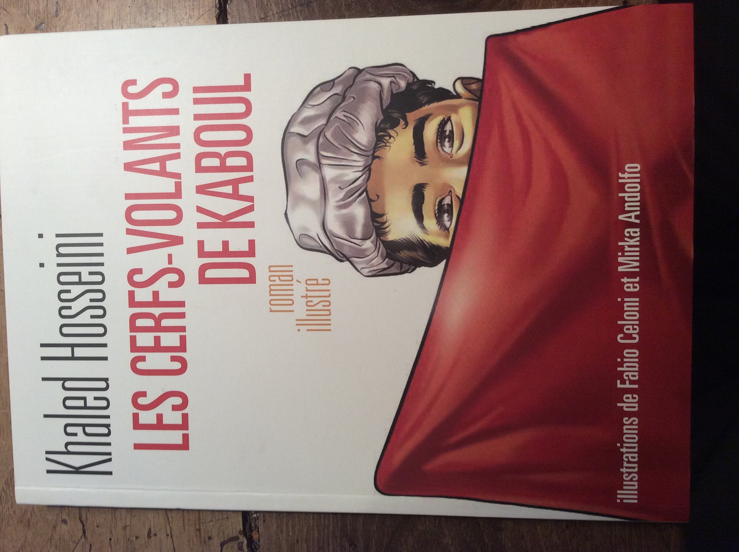 Les cerfs-volants de Kaboul roman illustre book