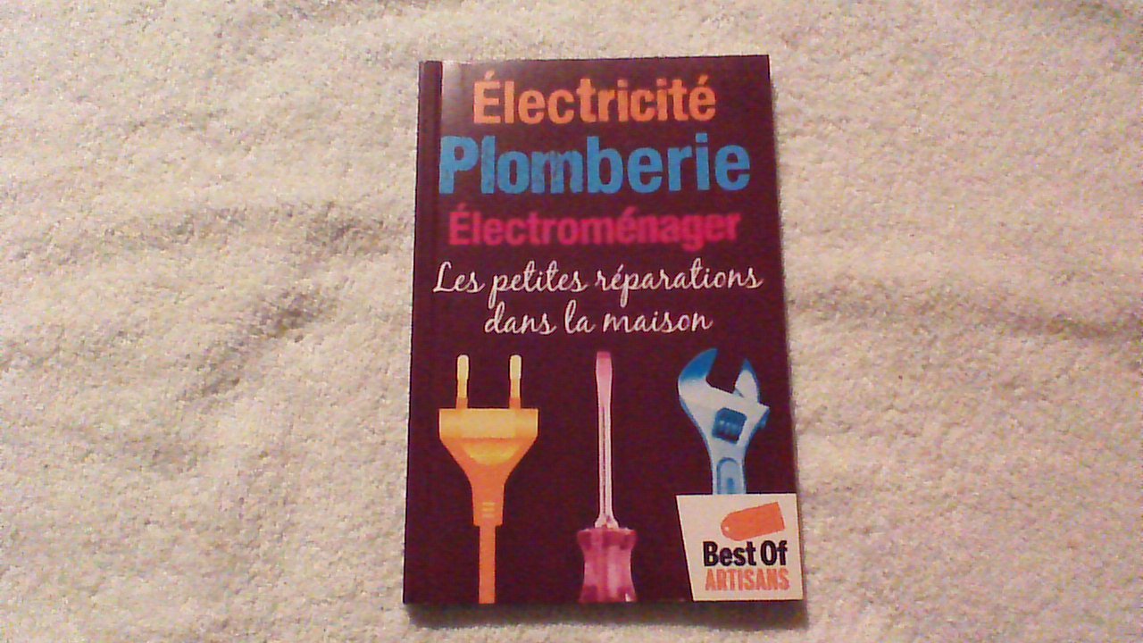 ELECTRICITE PLOMBERIE ELECTROMENAGER - LES PETITES REPARATIONS DANS LA MAISON Books