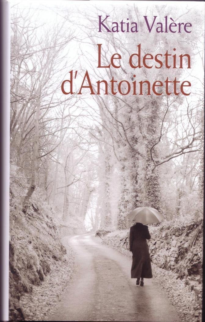 Product Image: Le destin d'Antoinette
