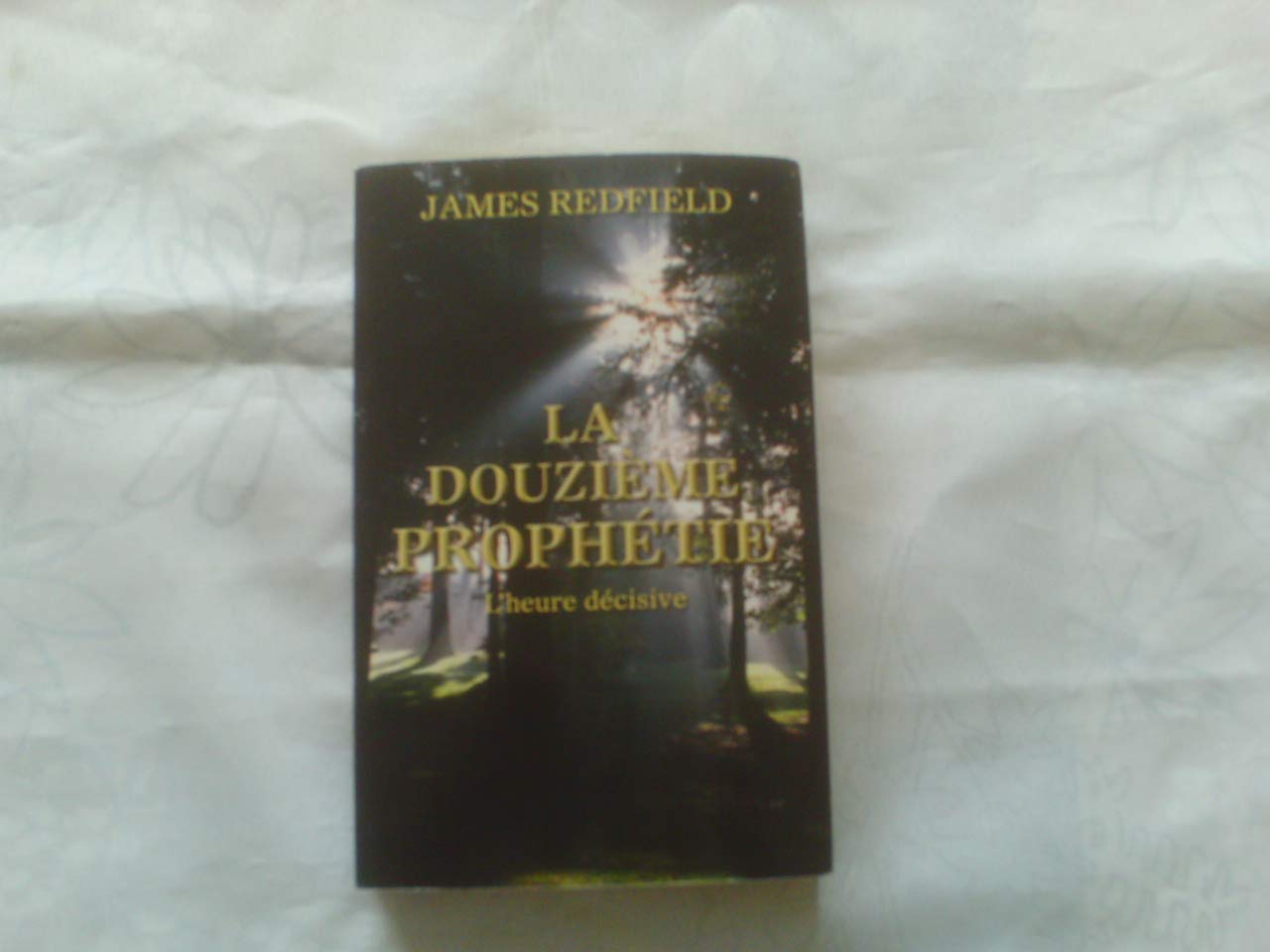 la douzieme prophetie - l'heure decisive book
