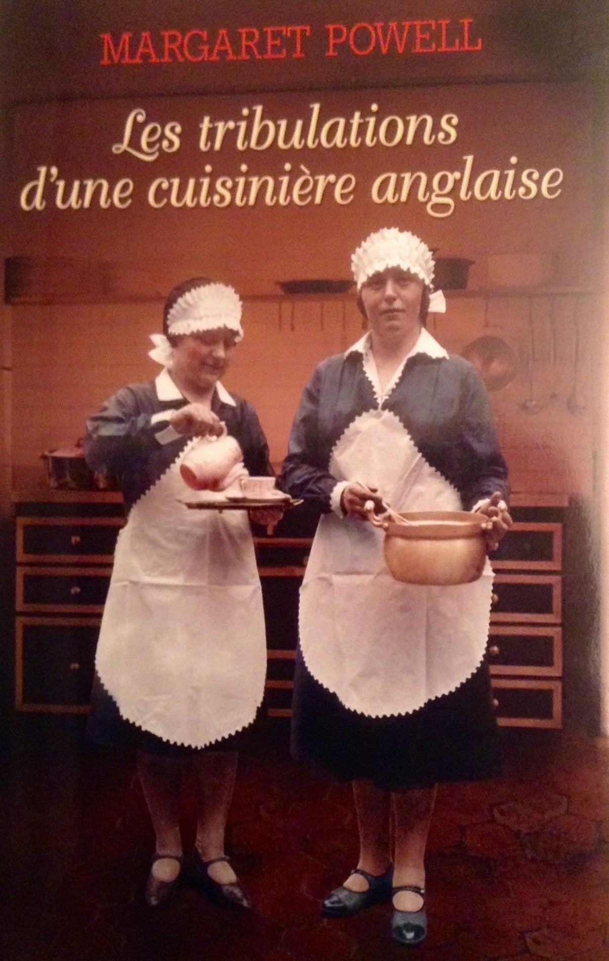 Les tribulations d'une cuisinière anglaise book