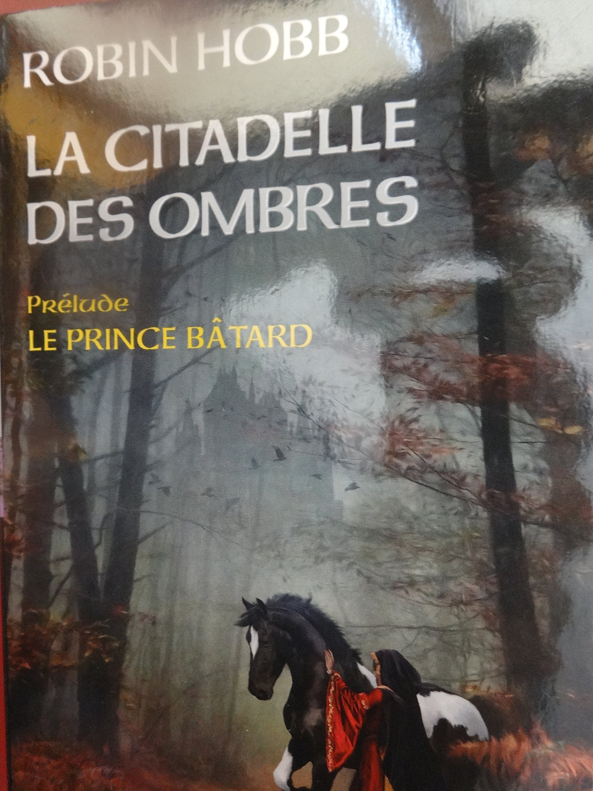 La citadelle des ombres : Le prince bâtard (Prélude) Books