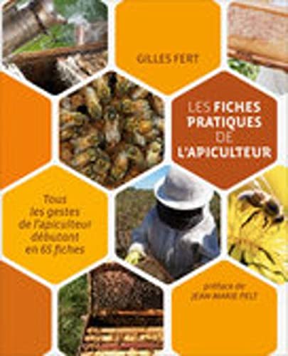 Entrez dans la pratique du Qi Gong Health, Nutrition & Fitness