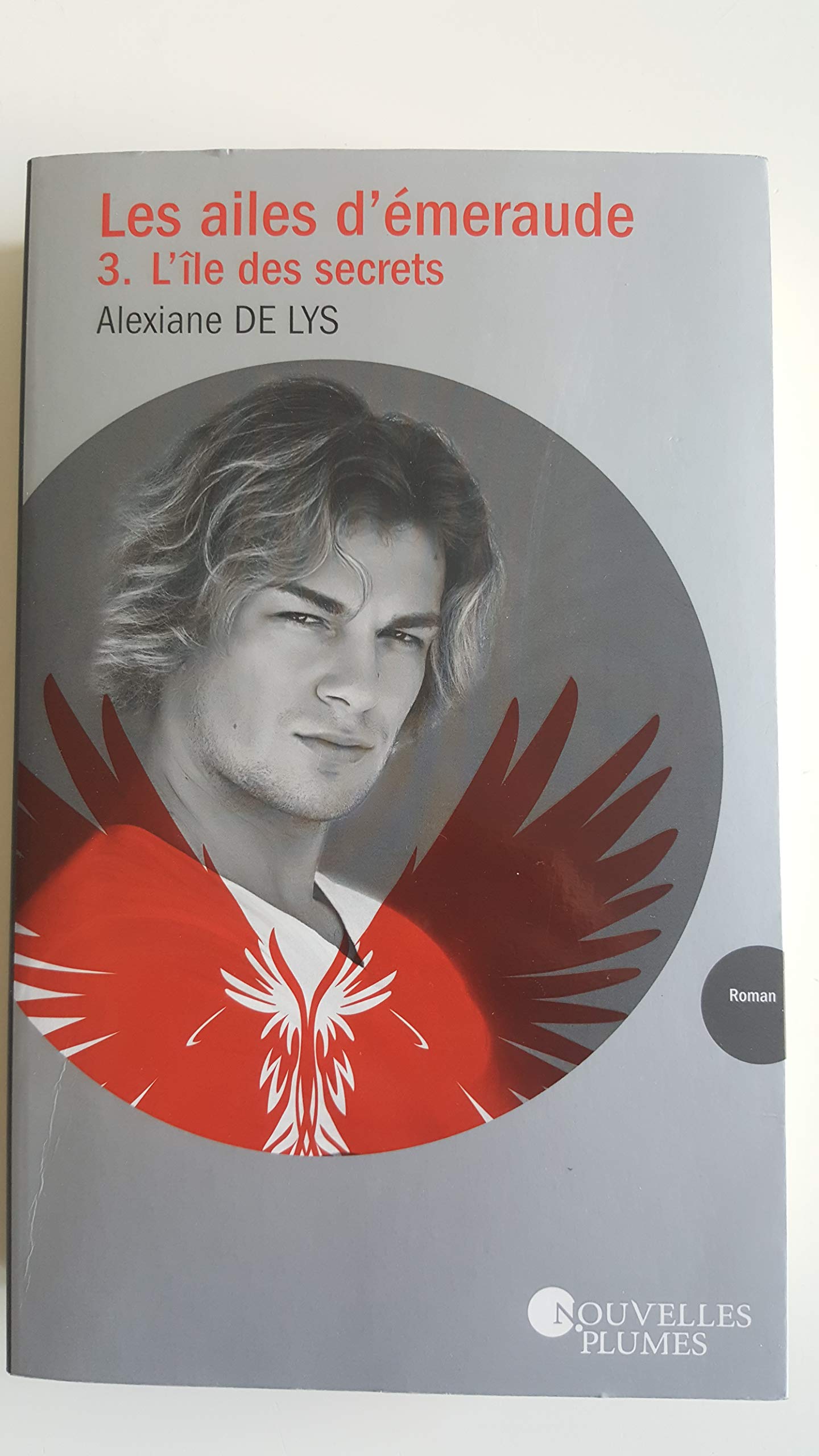 Les ailes d'émeraude, tome 3 : L'île des secrets Books