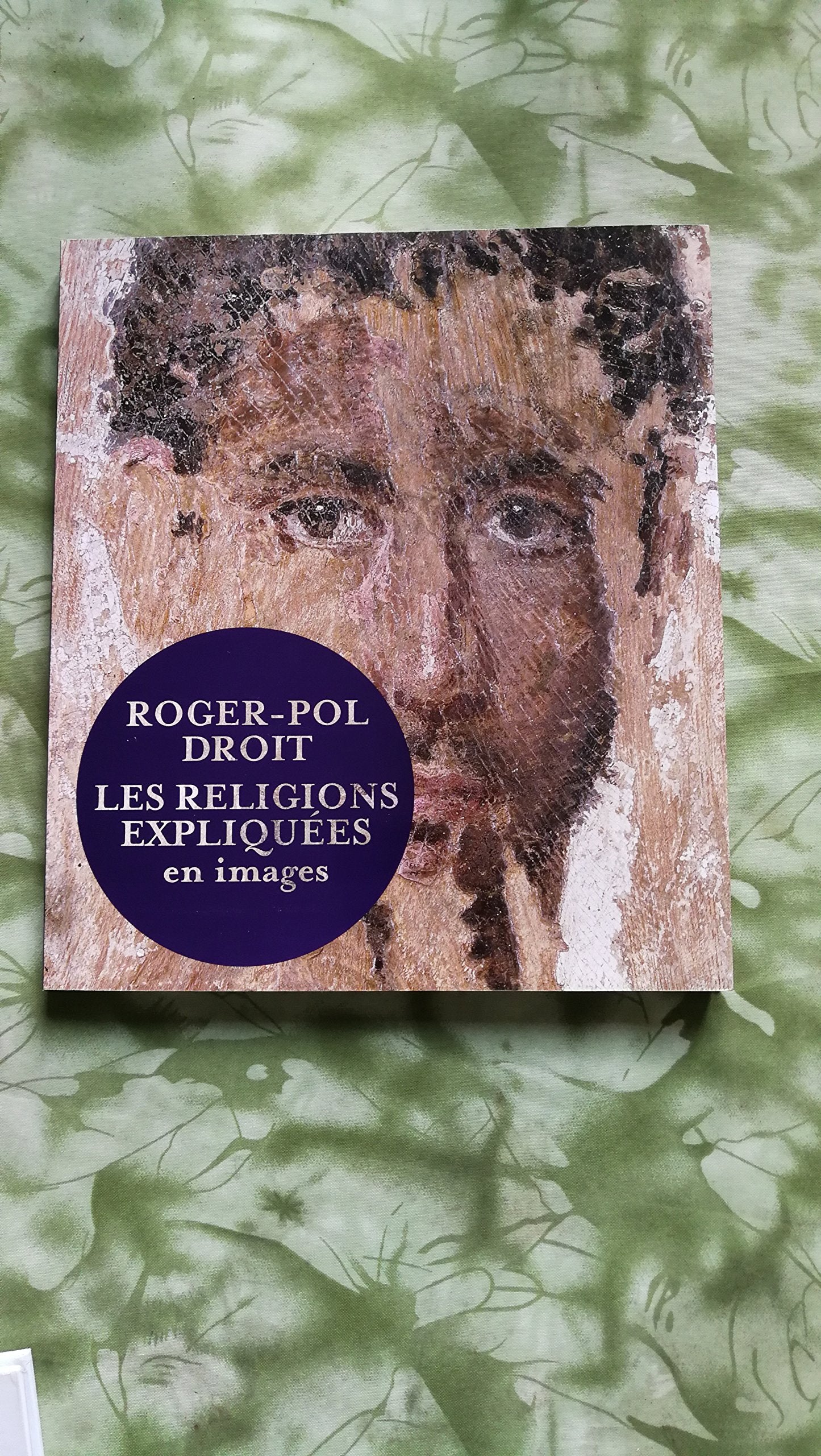 Les Religions expliquées en images book