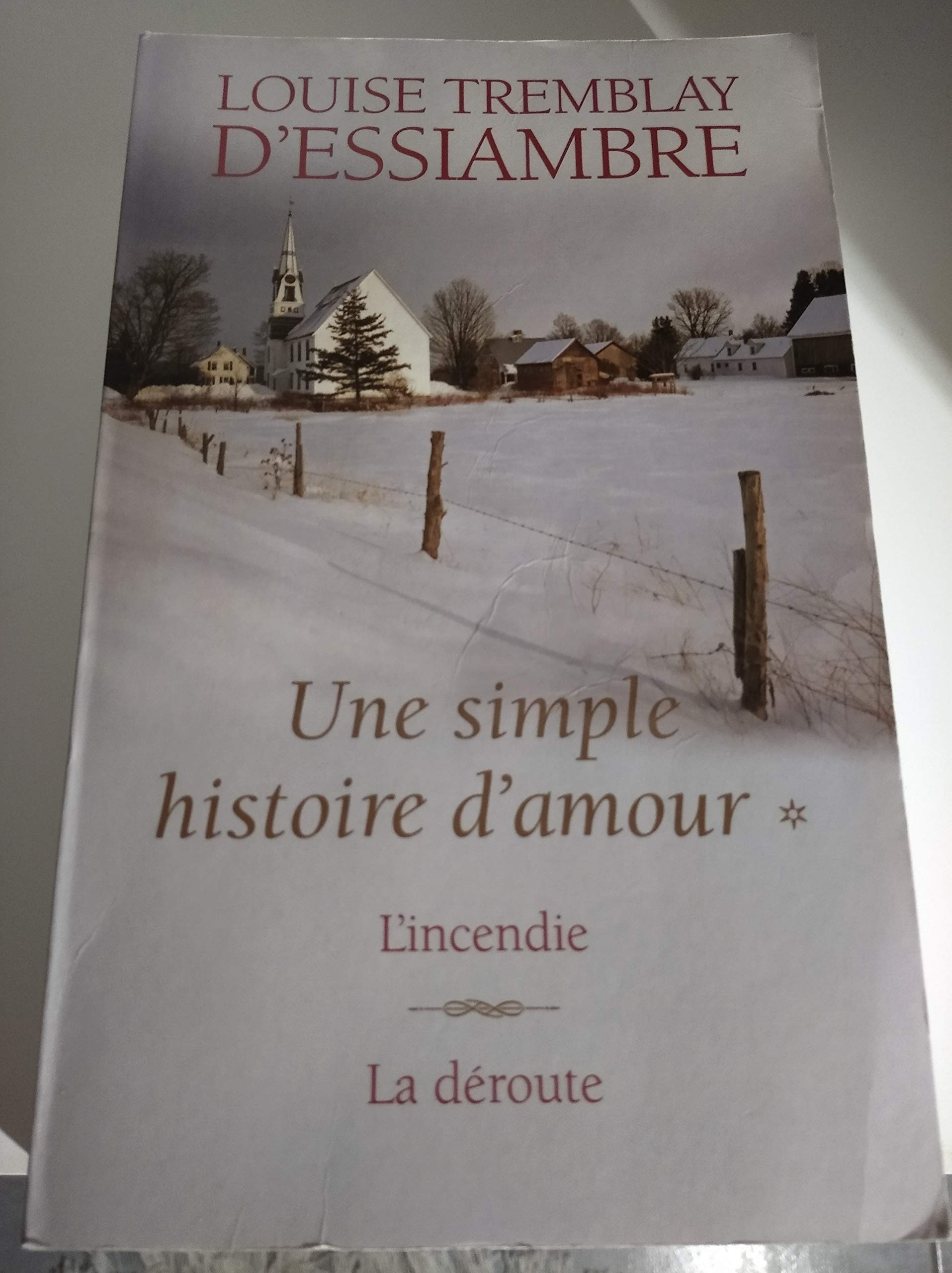 Une simple histoire d'amour T1 et T2. L'incendie / La déroute Books