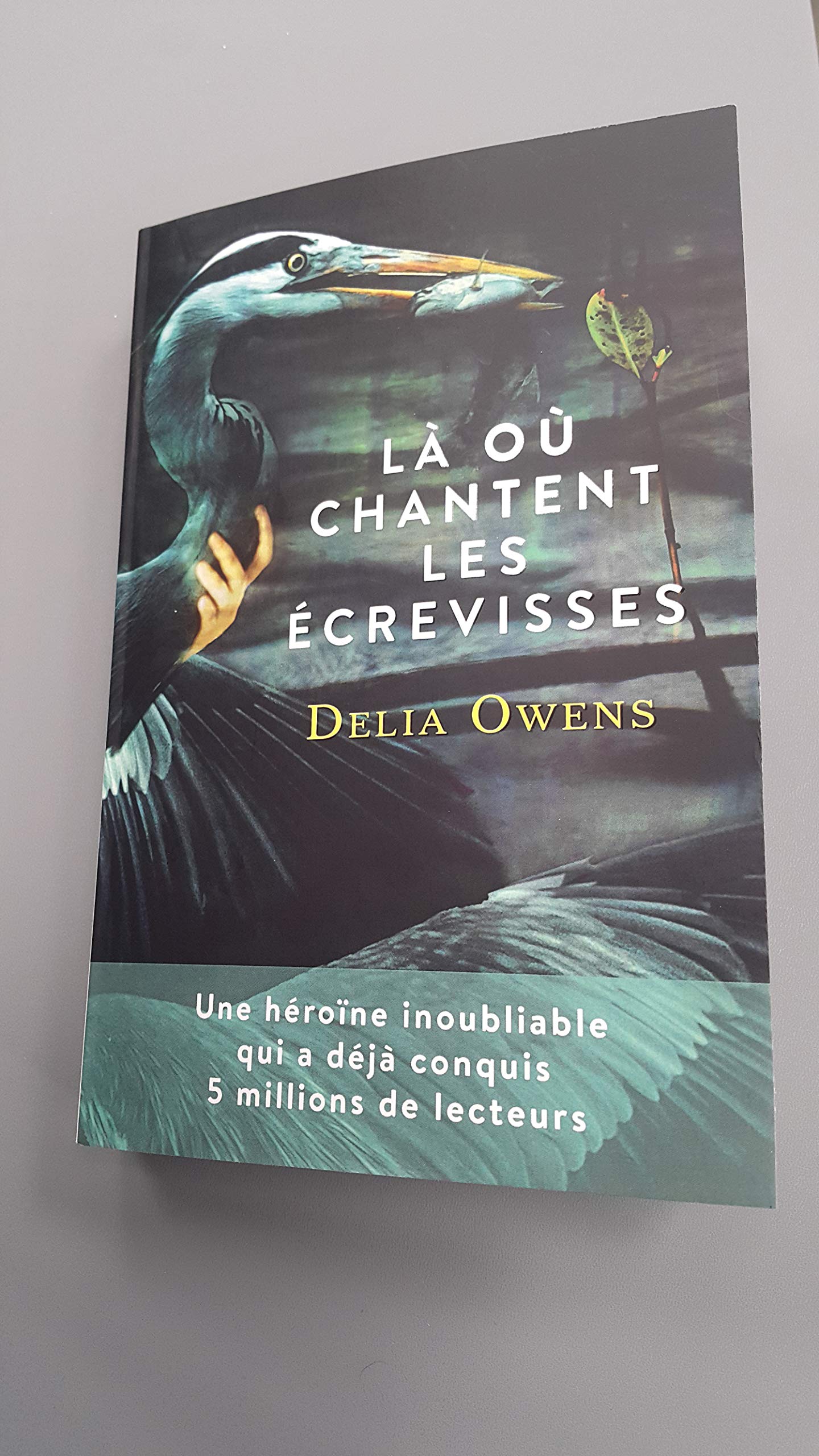 Là où chantent les ecrevisses Books