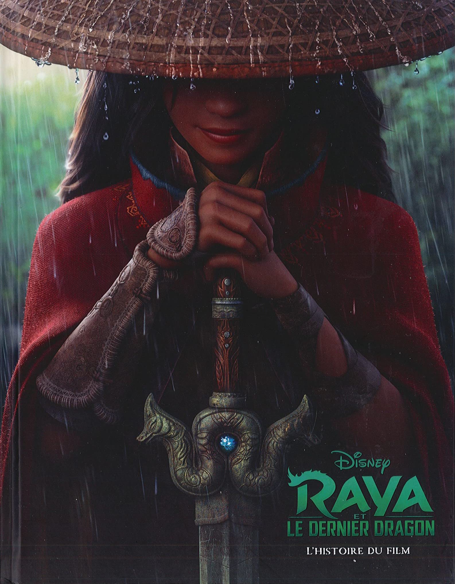 Raya et le dernier dragon - L'histoire du film book