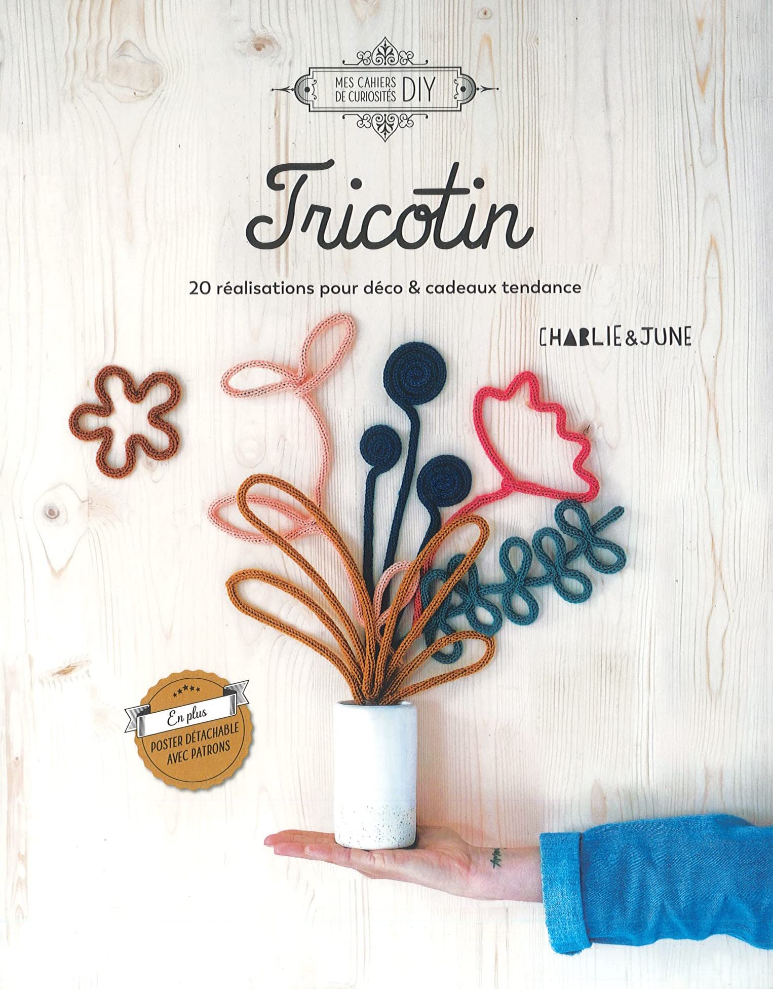 Tricotin - 20 réalisations pour déco & cadeaux tendance book