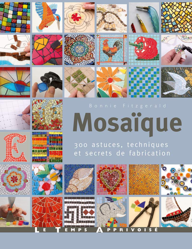 Mosaïque, 300 astuces, motifs et secrets de fabrication: 300 astuces, techniques et secrets de fabrication Film, Art & Culture