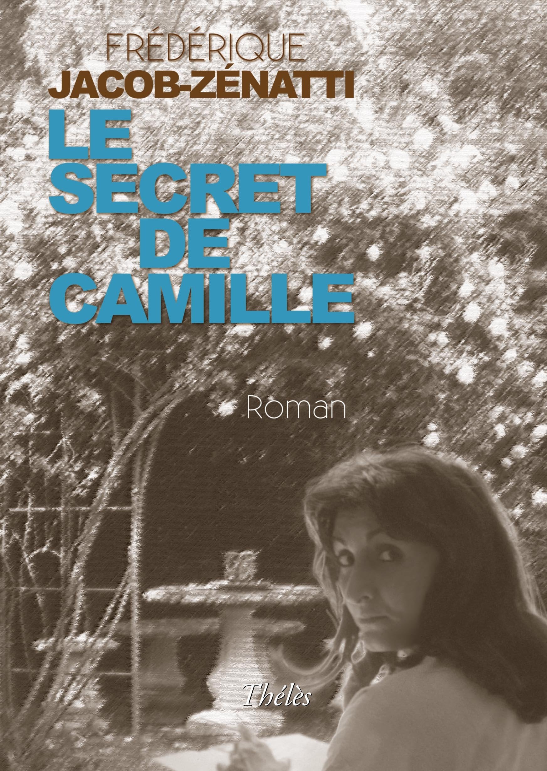 Le Secret de Camille book