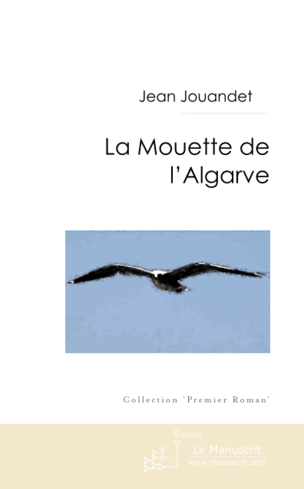 LA MOUETTE DE L'ALGARVE book