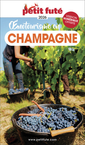 Oenotourisme en Champagne : 2026 Leisure, Home & Garden