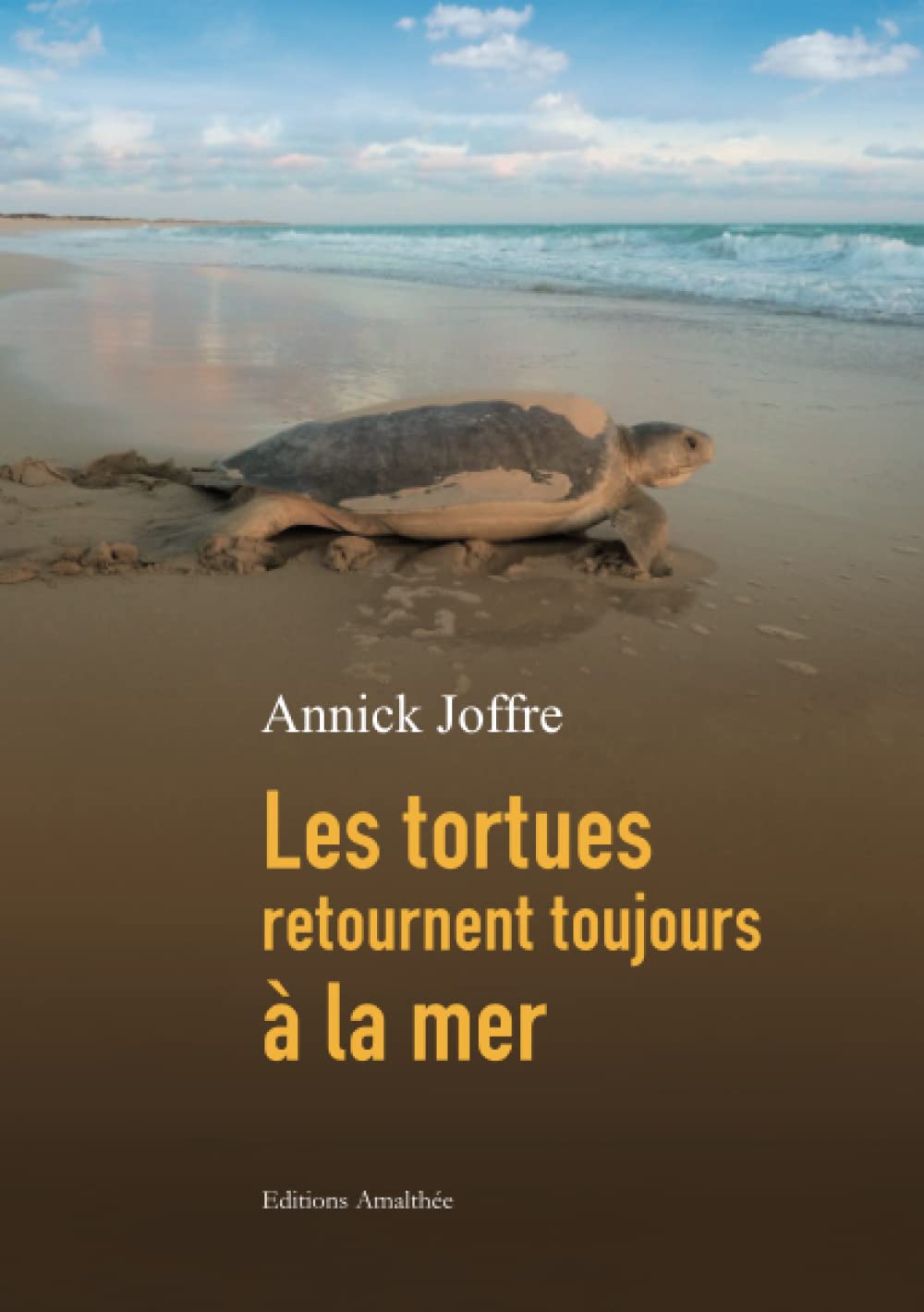 Les tortues retournent toujours à la mer book