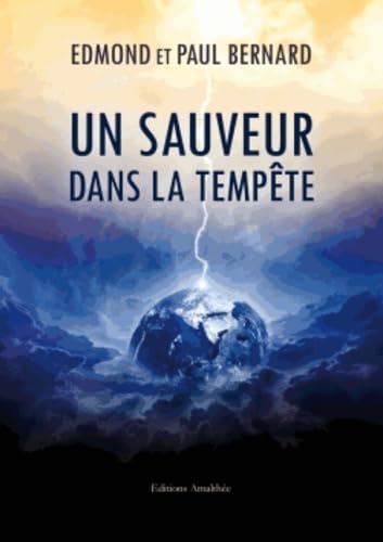 Un sauveur dans la tempête Books