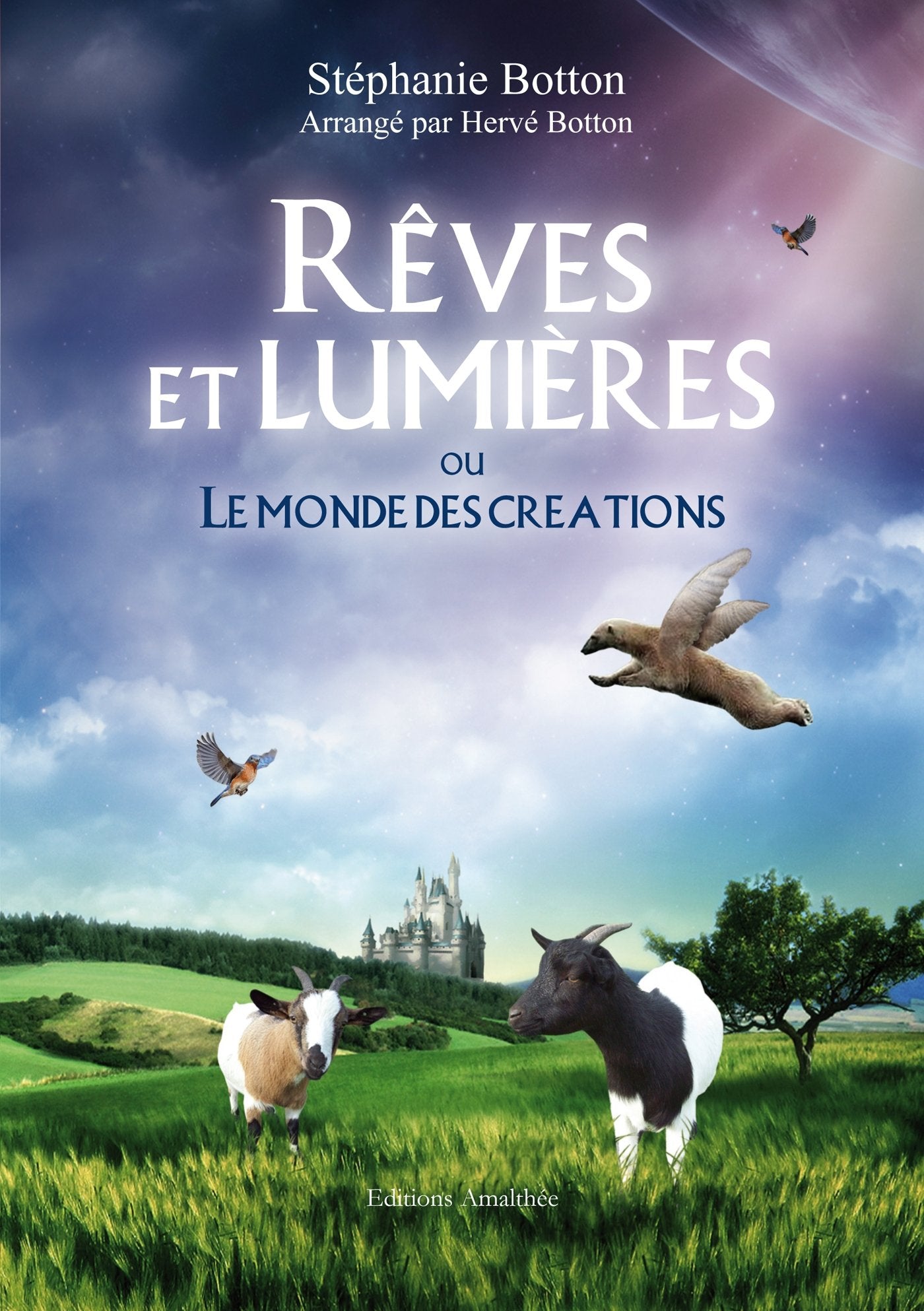 Rêves et lumières: Ou le monde des créations book
