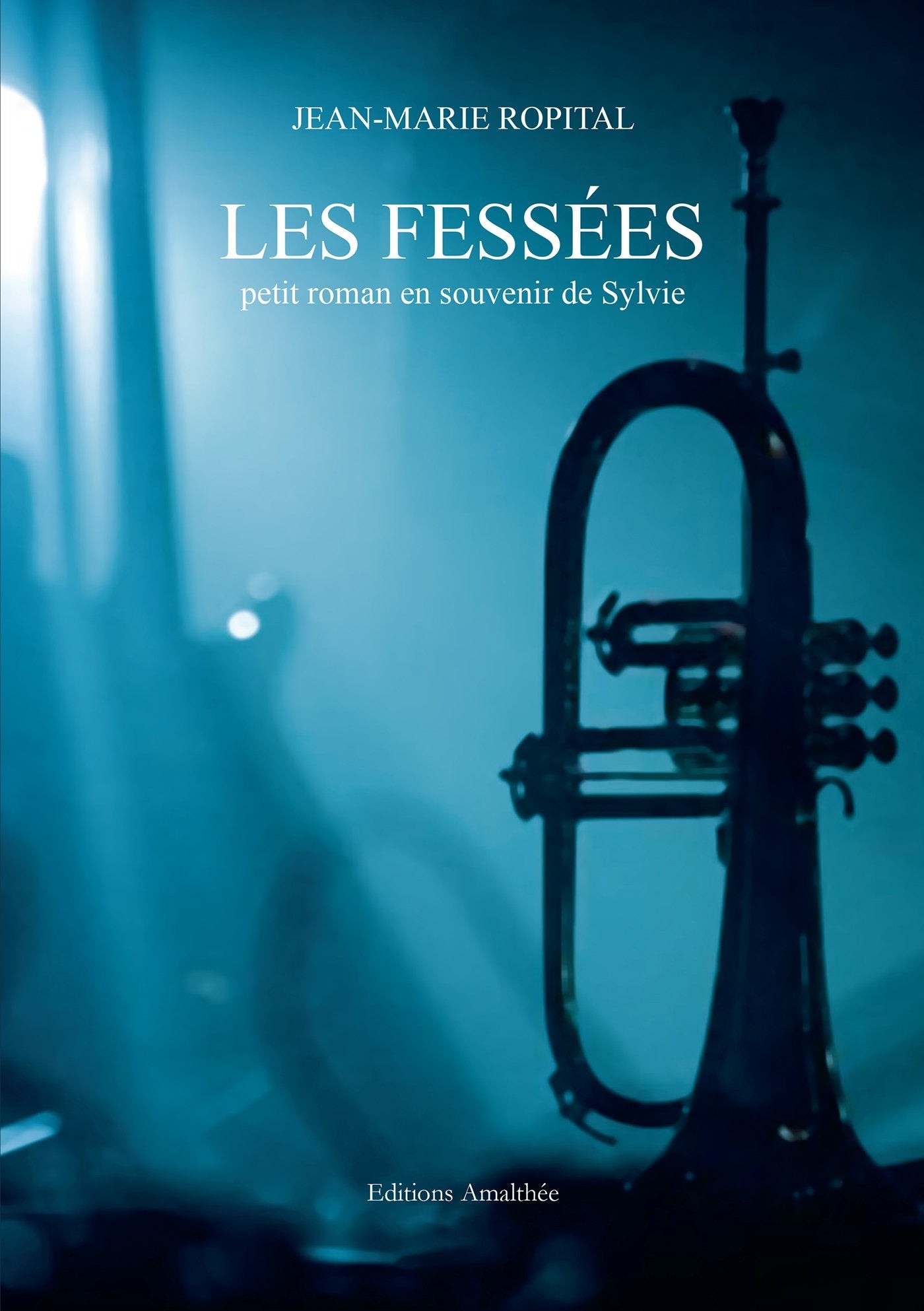 Les fessées: Petit roman en souvenir de Sylvie Books