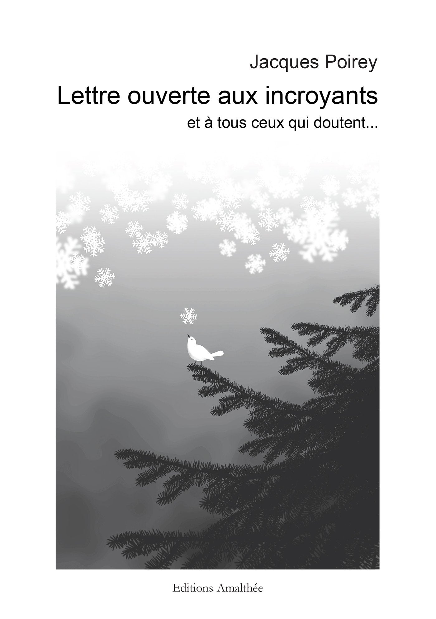 Lettre ouverte aux incroyants: Et à tous ceux qui doutent... book