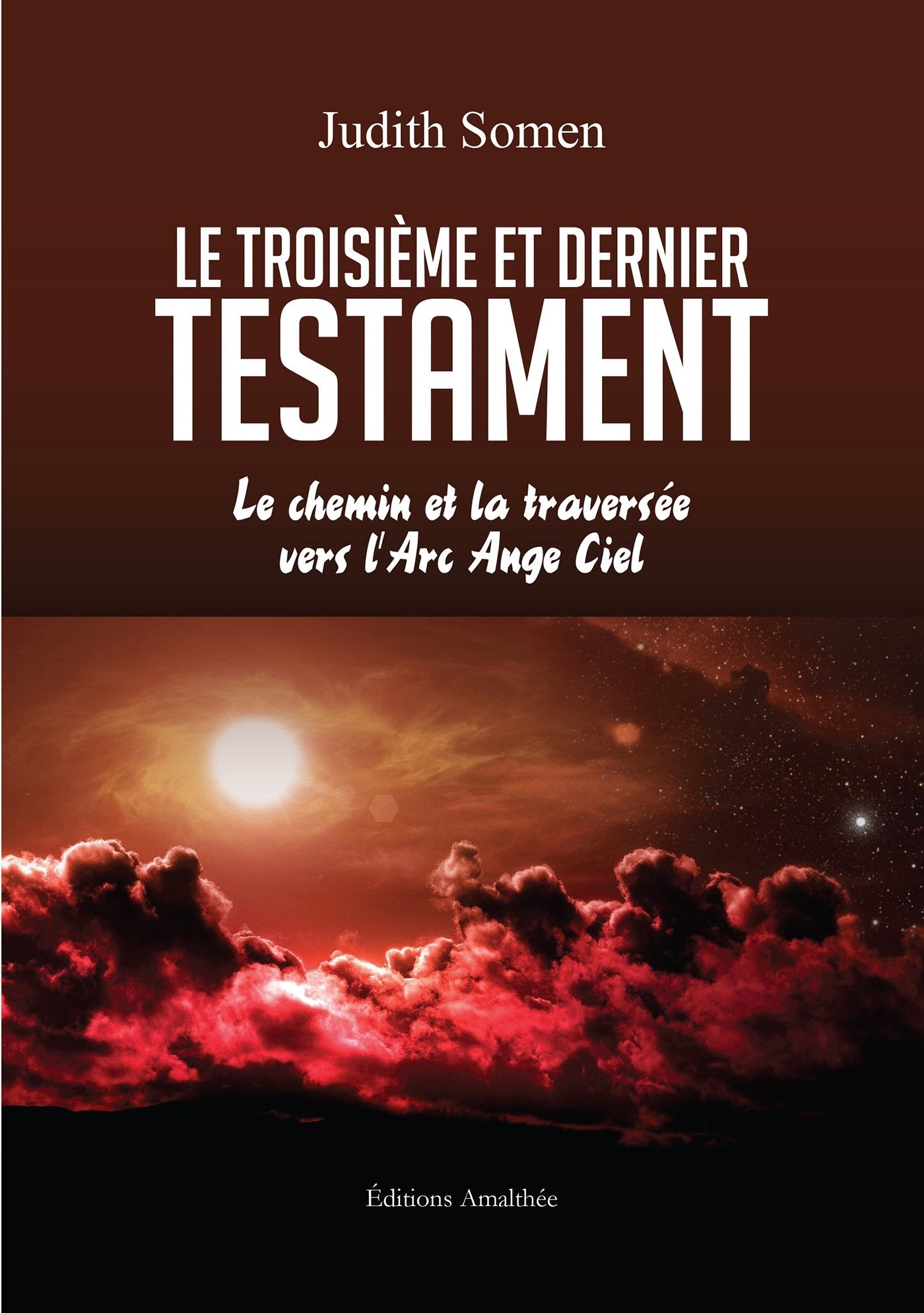 LE TROISIEME ET DERNIER TESTAMENTLE CHEMIN ET LA TRAVERSEE VERS L ARC ANGE CIEL book