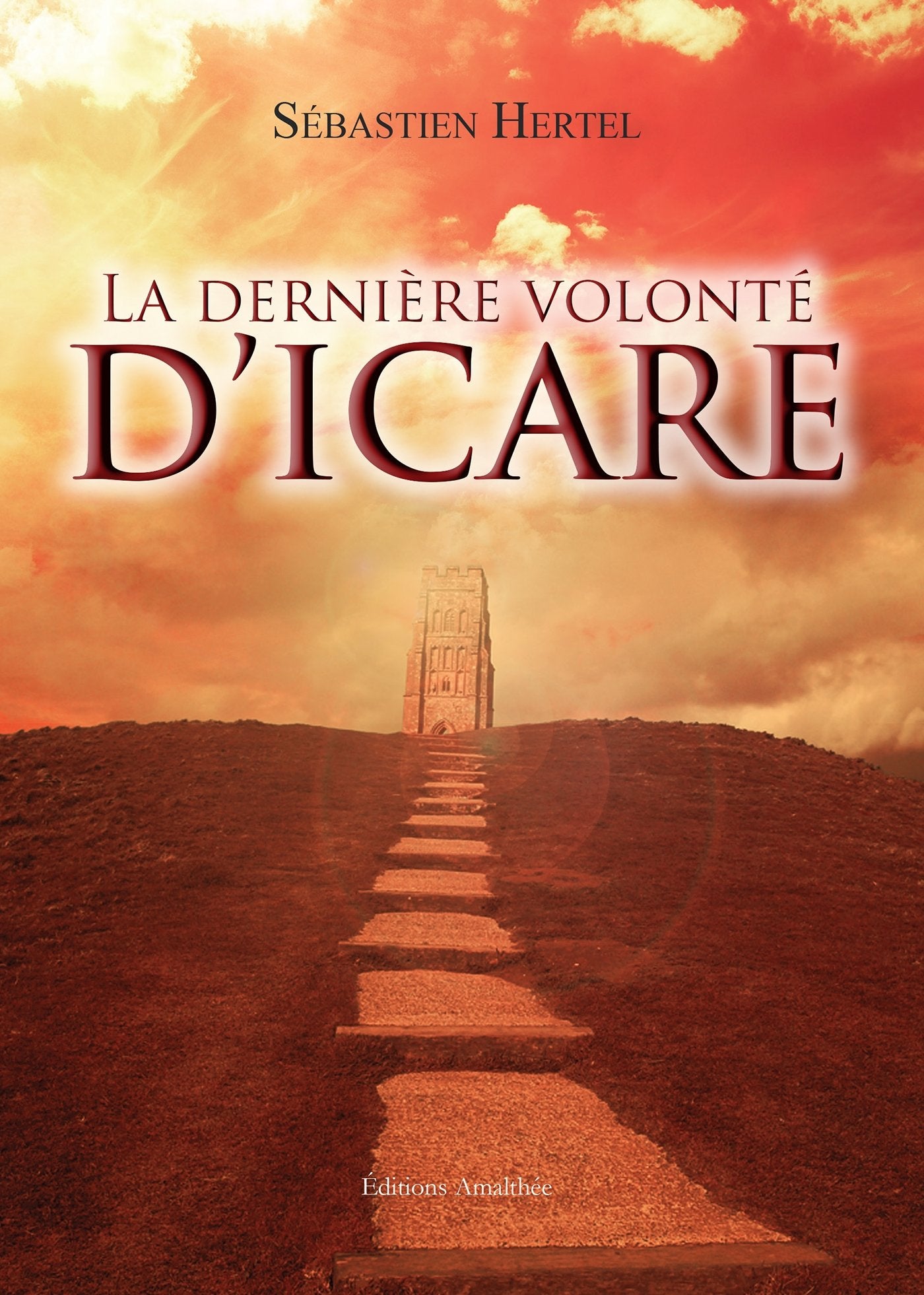 La dernière volonté d'Icare book