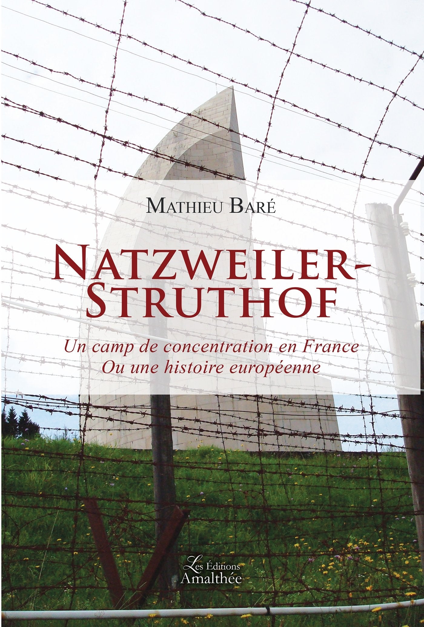 NATZWEILER STRUTHOF - UN CAMP DE CONCENTRATION EN FRANCE OU UNE HISTOIRE EUROPEENNE book