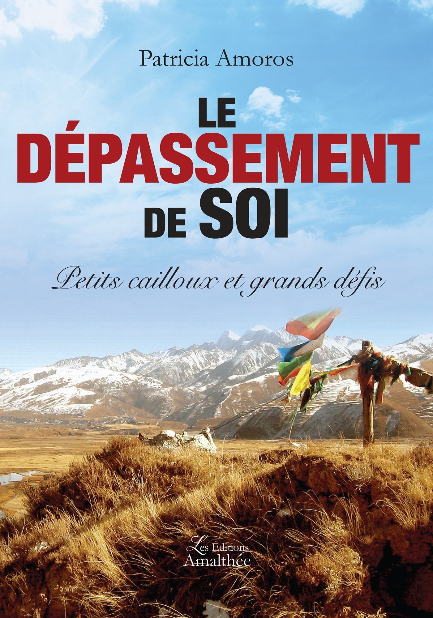 LE DEPASSEMENT DE SOI: Petits cailloux et grands défis Books