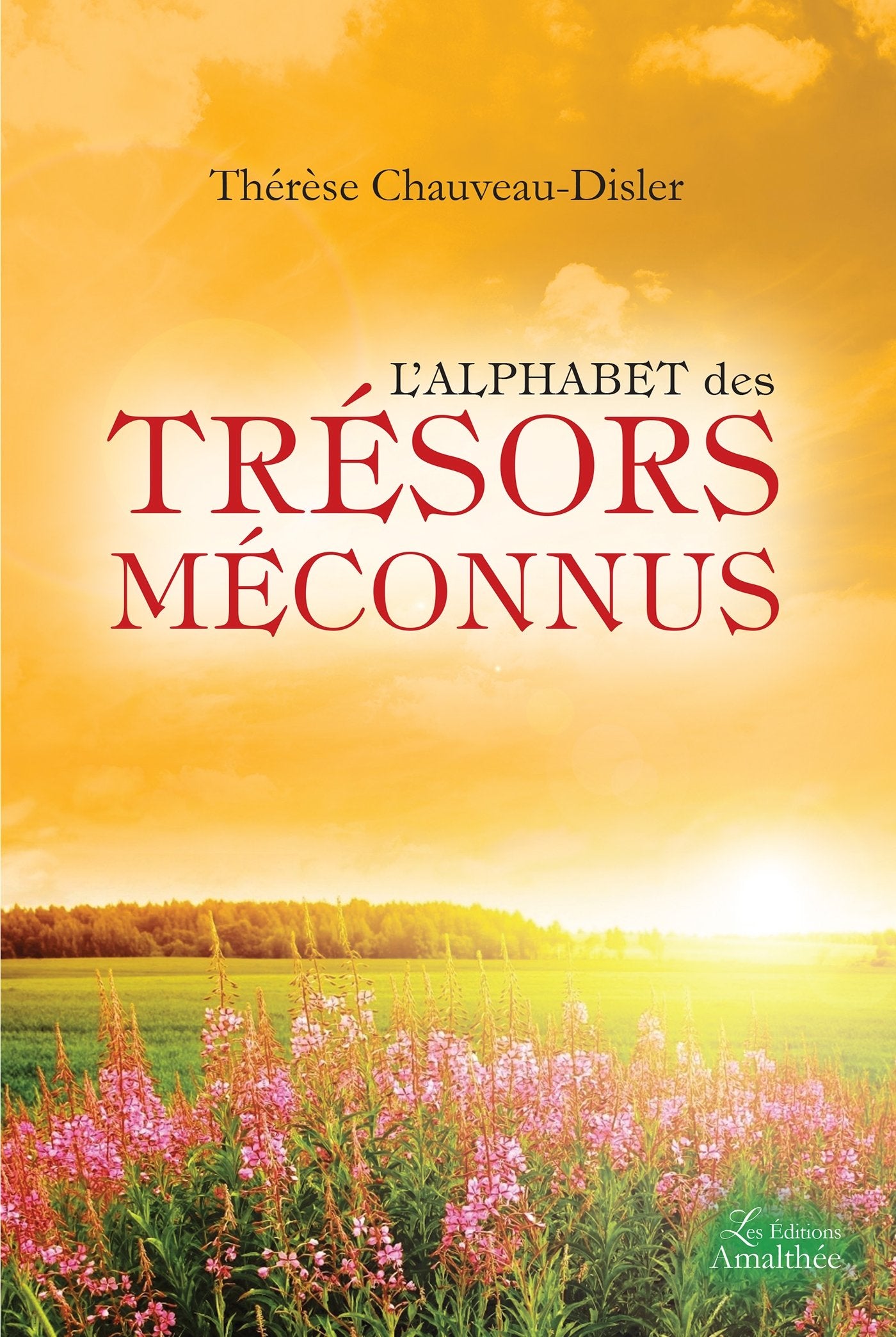 L ALPHABET DES TRESORS MECONNUS book
