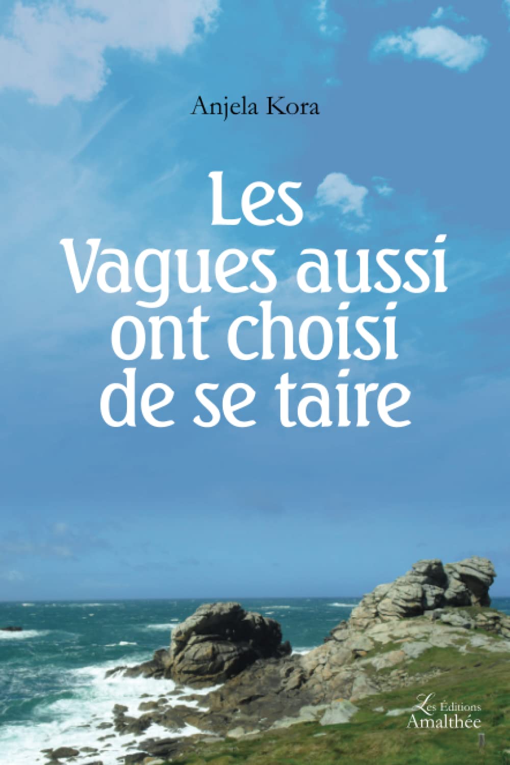 Les vagues aussi ont choisi de se taire book
