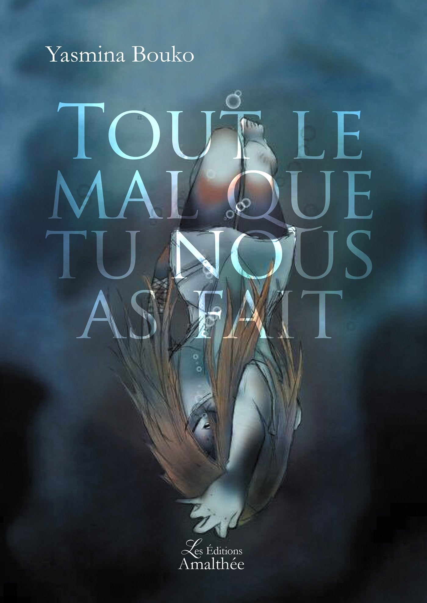 Tout le mal que tu nous as fait book