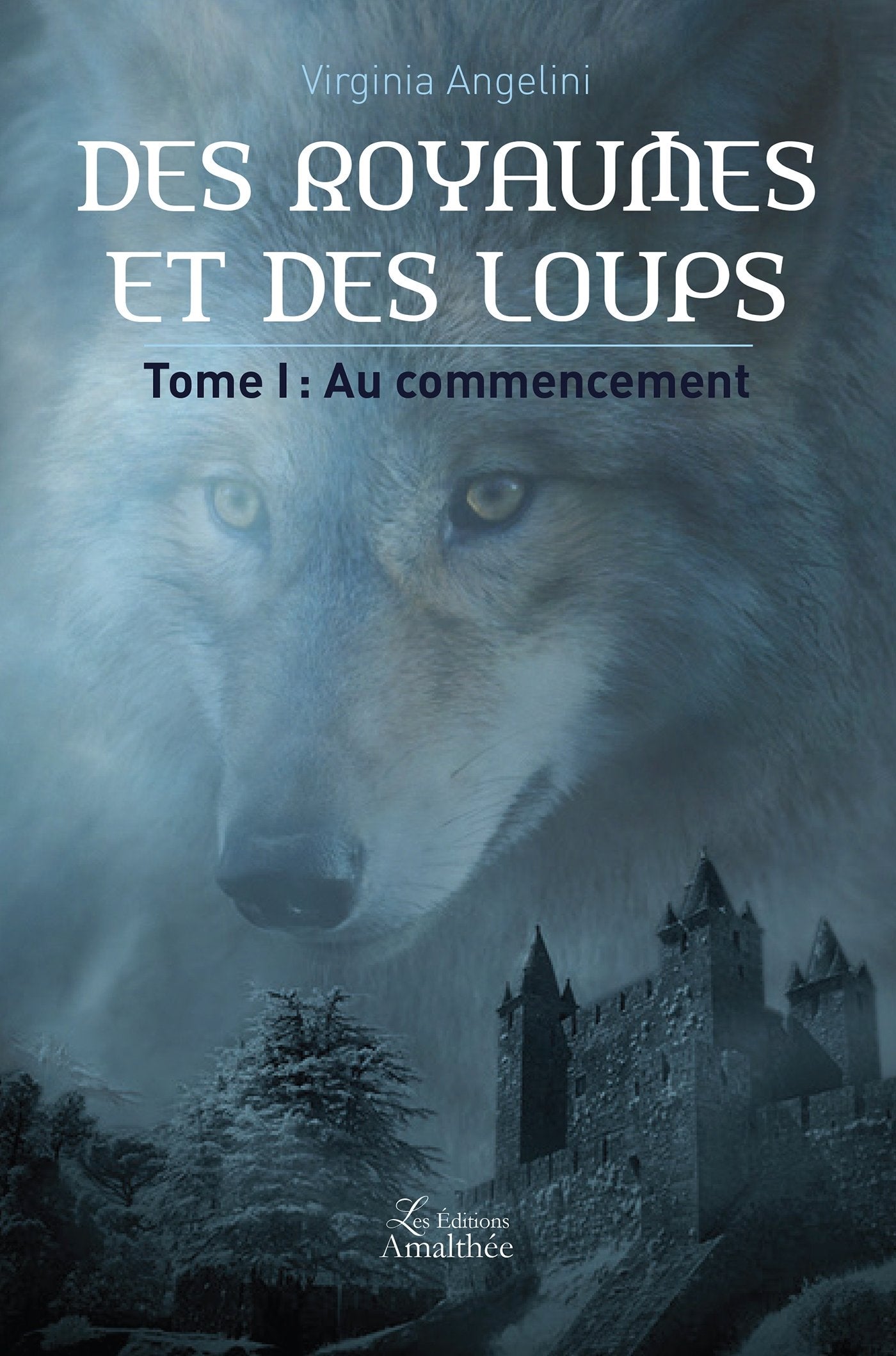 DES ROYAUMES ET DES LOUPS TOME 1 : AU COMMENCEMENT book