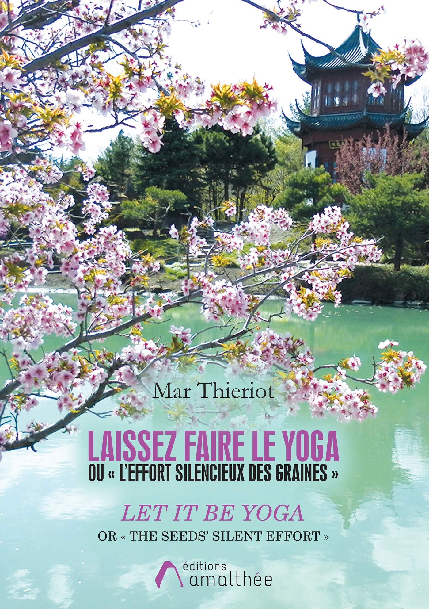 Laissez faire le yoga - let it be yoga book