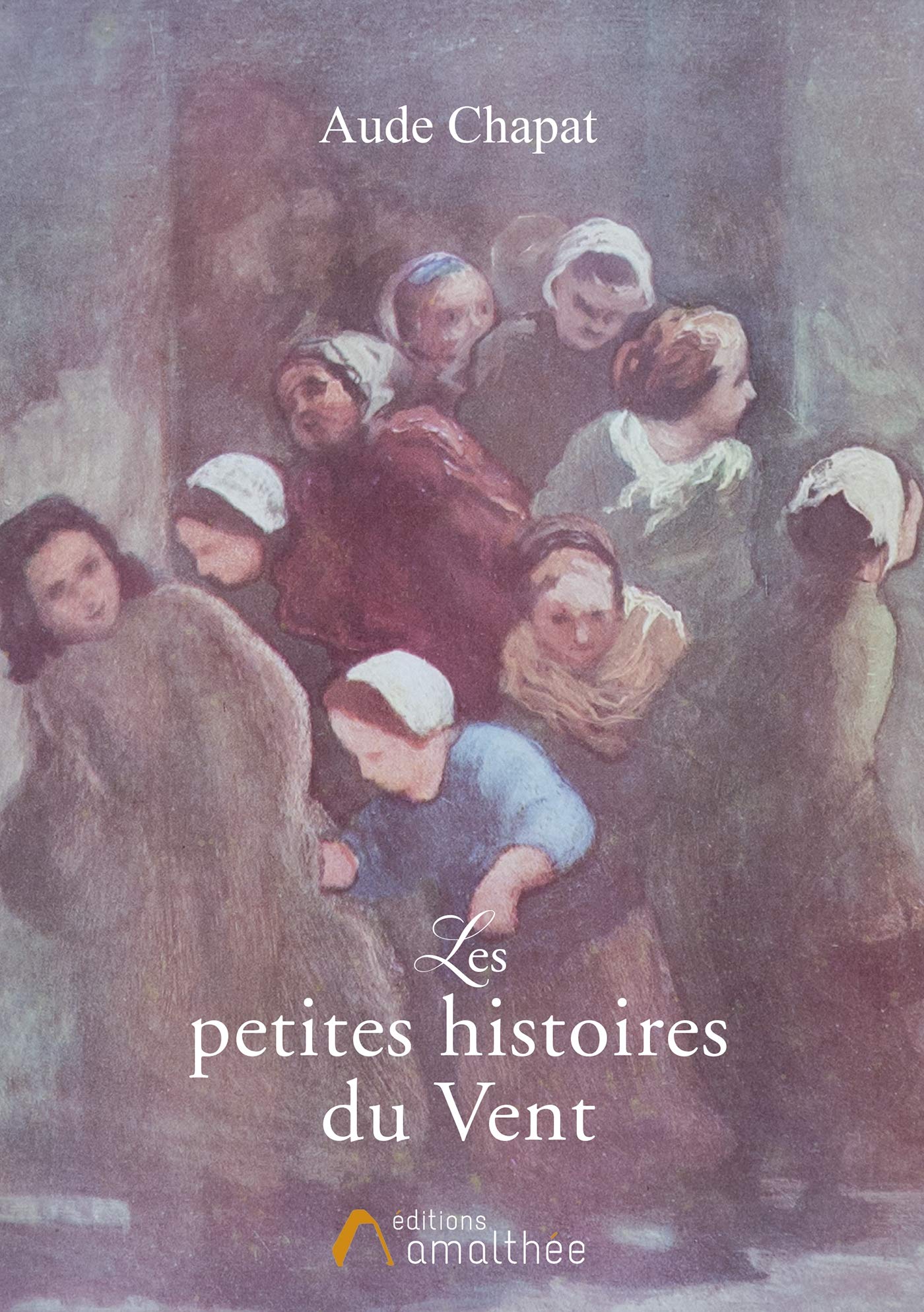 LES PETITES HISTOIRES DU VENT: LES TRIBULATIONS D'ANODINE CHAPAT book