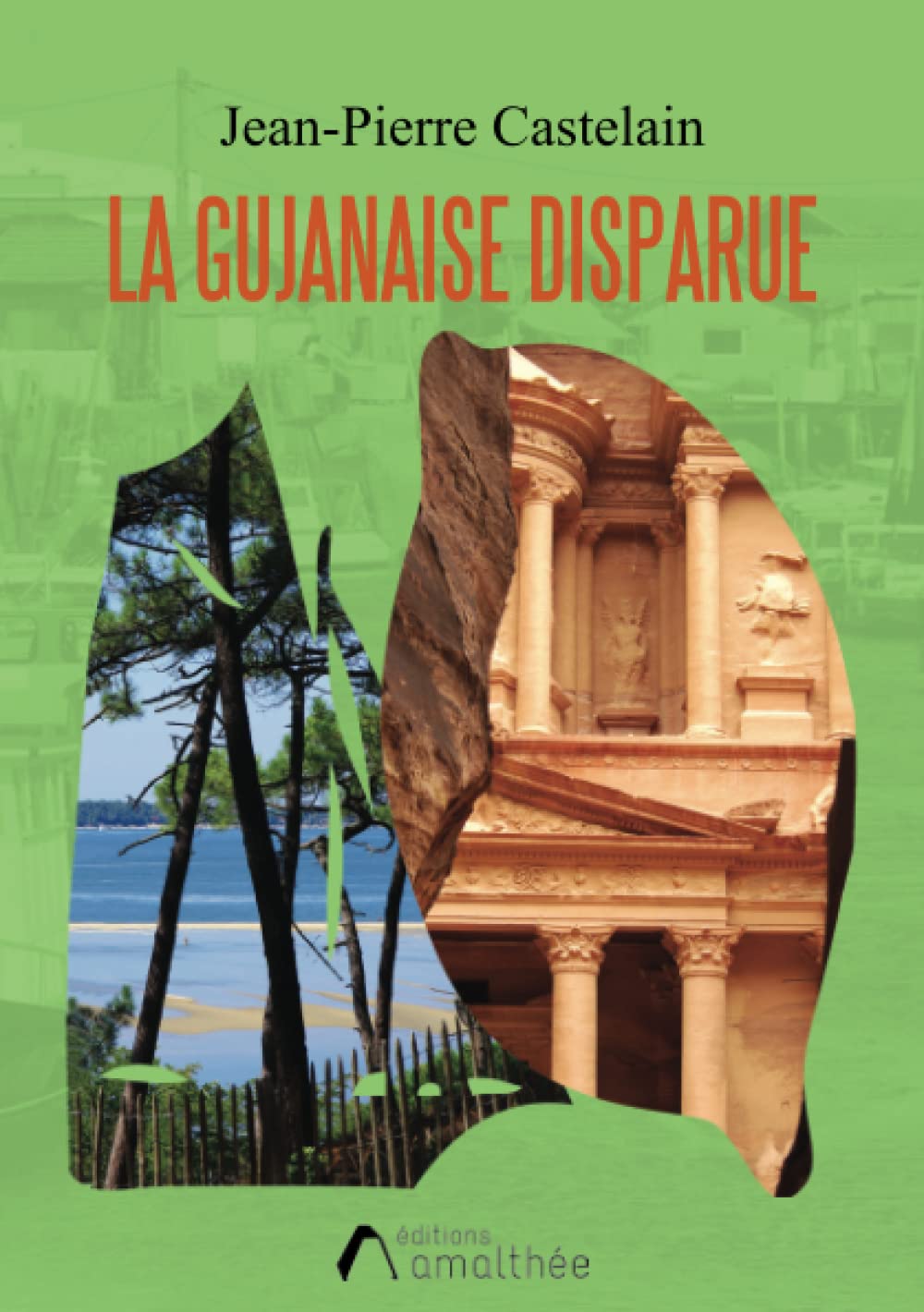 La gujanaise disparue Contemporary literature