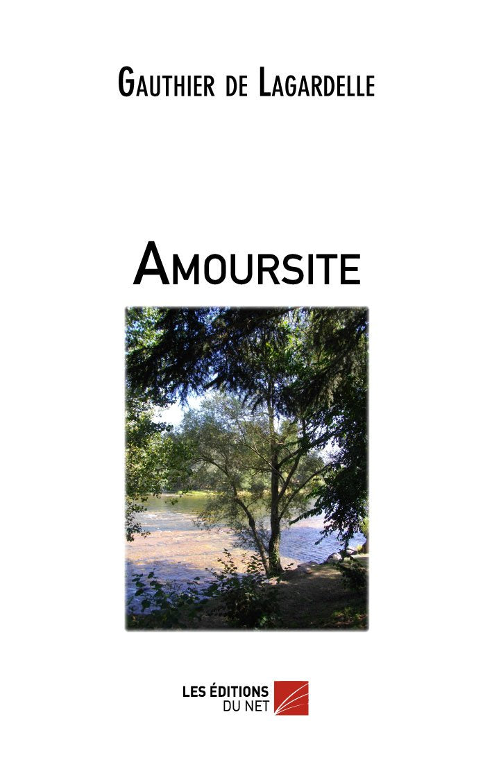 Amoursite Contemporary literature Books