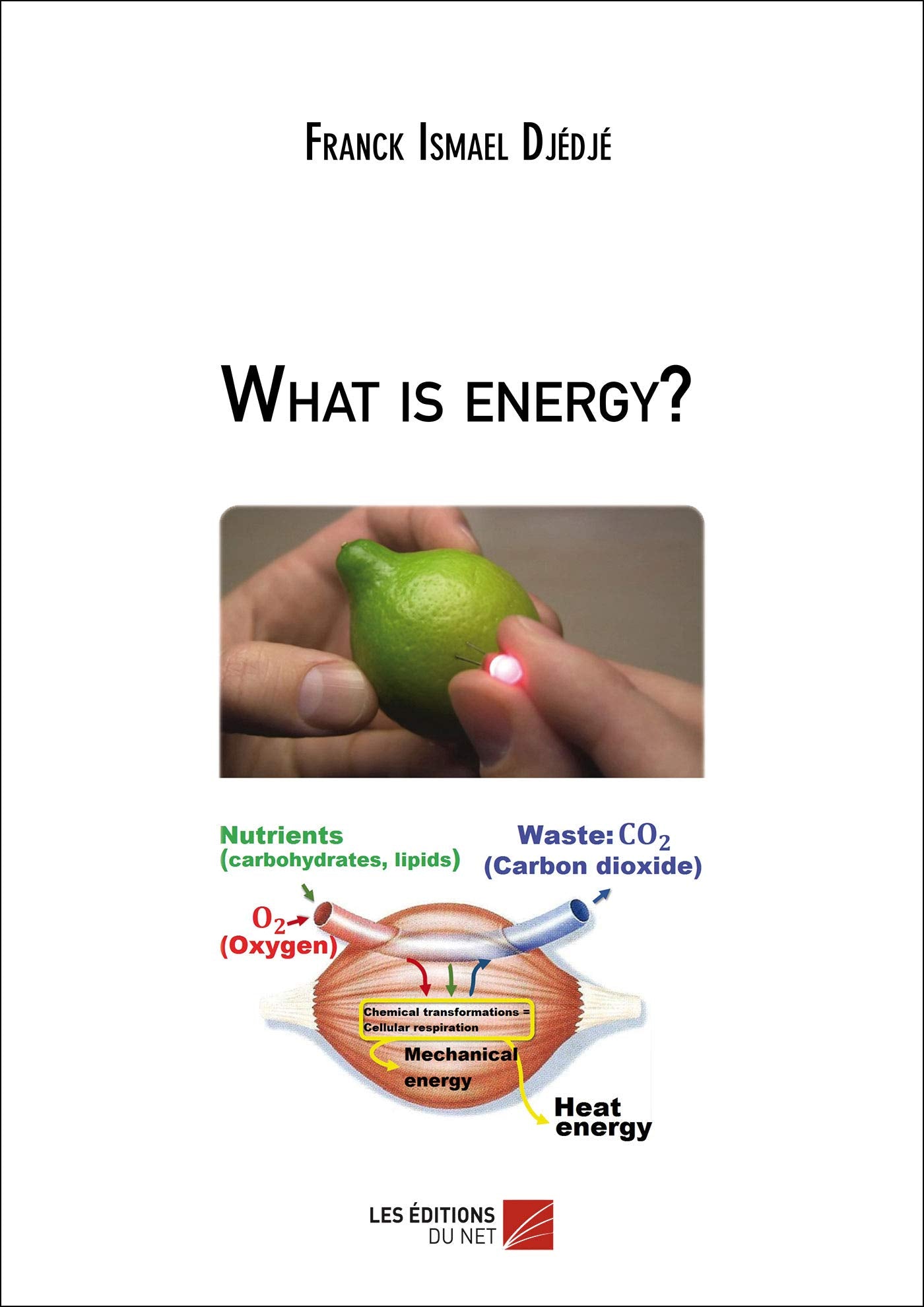 What is energy? book