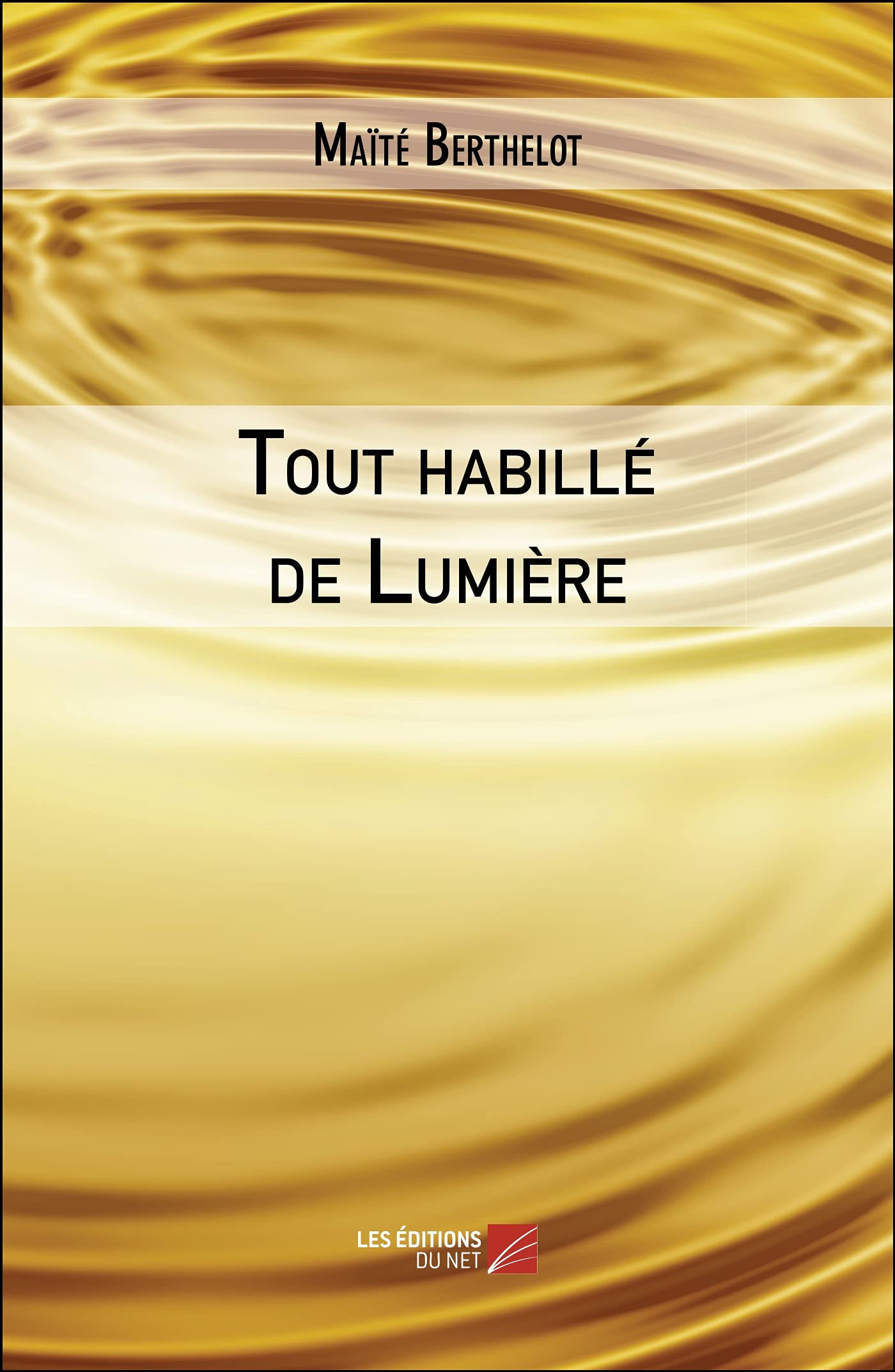 Tout habillé de Lumière: Un hommage à notre Féminin book