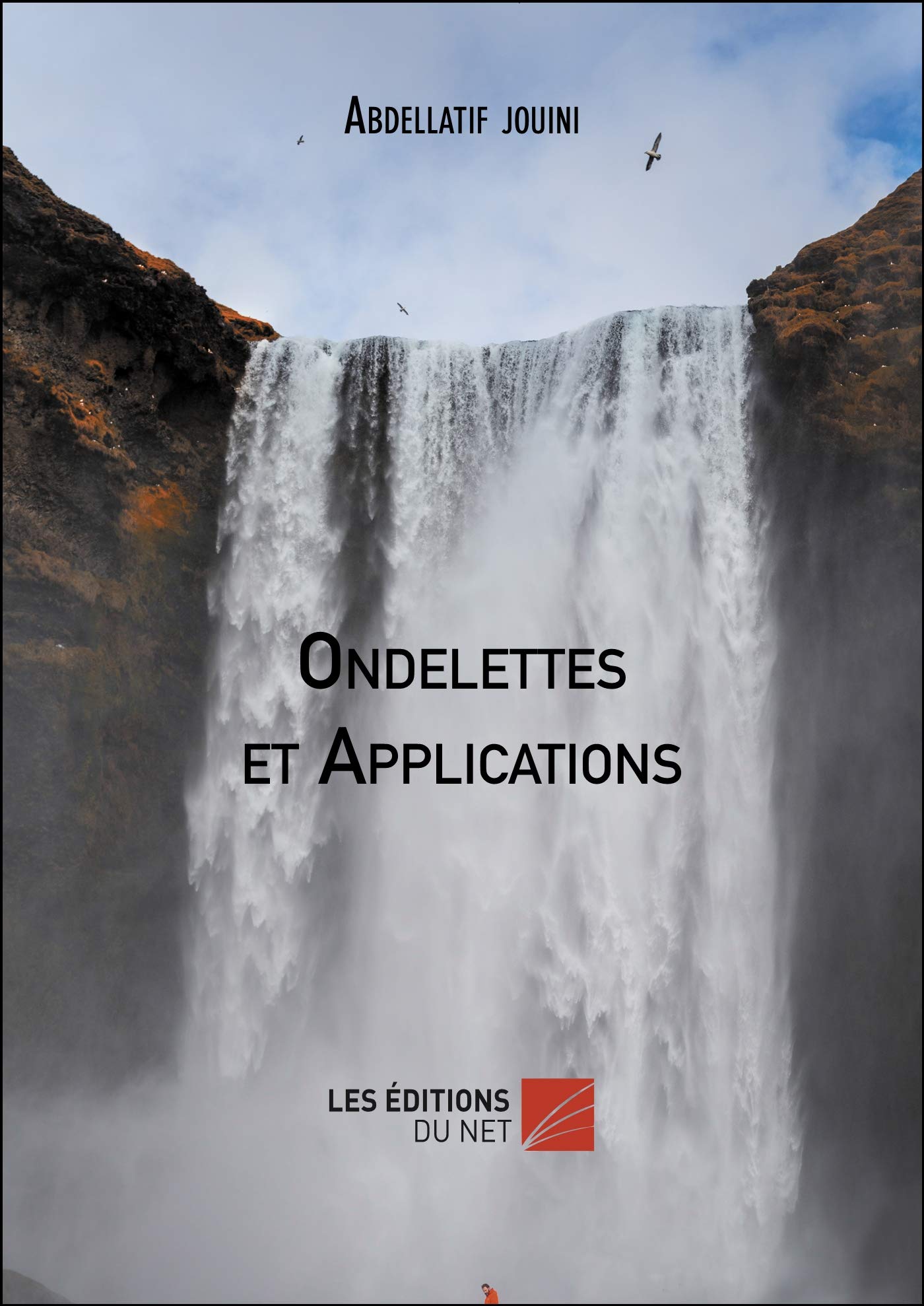 Ondelettes et Applications: Cours et exercices corrigés book