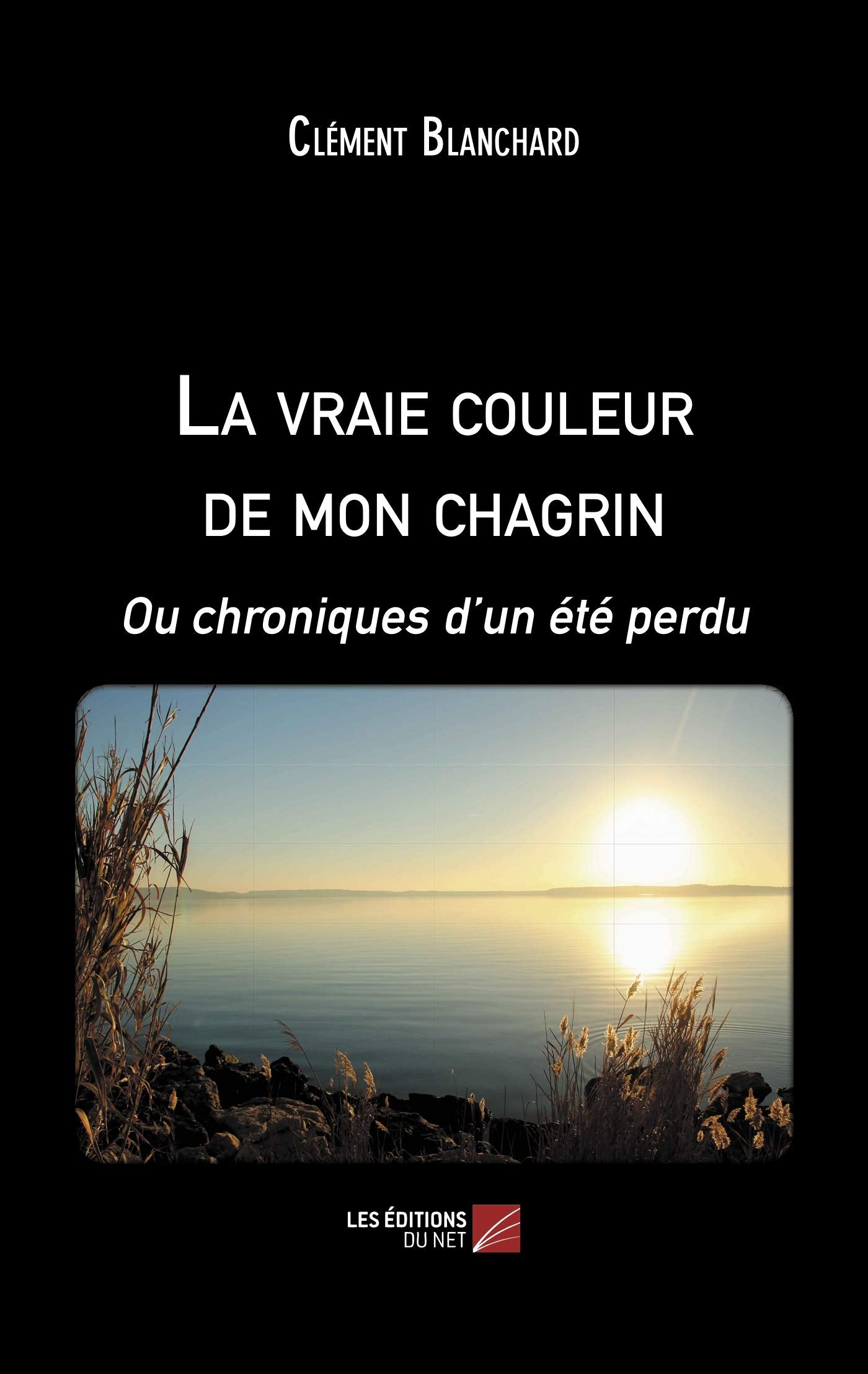La vraie couleur de mon chagrin: Ou chroniques d’un été perdu book