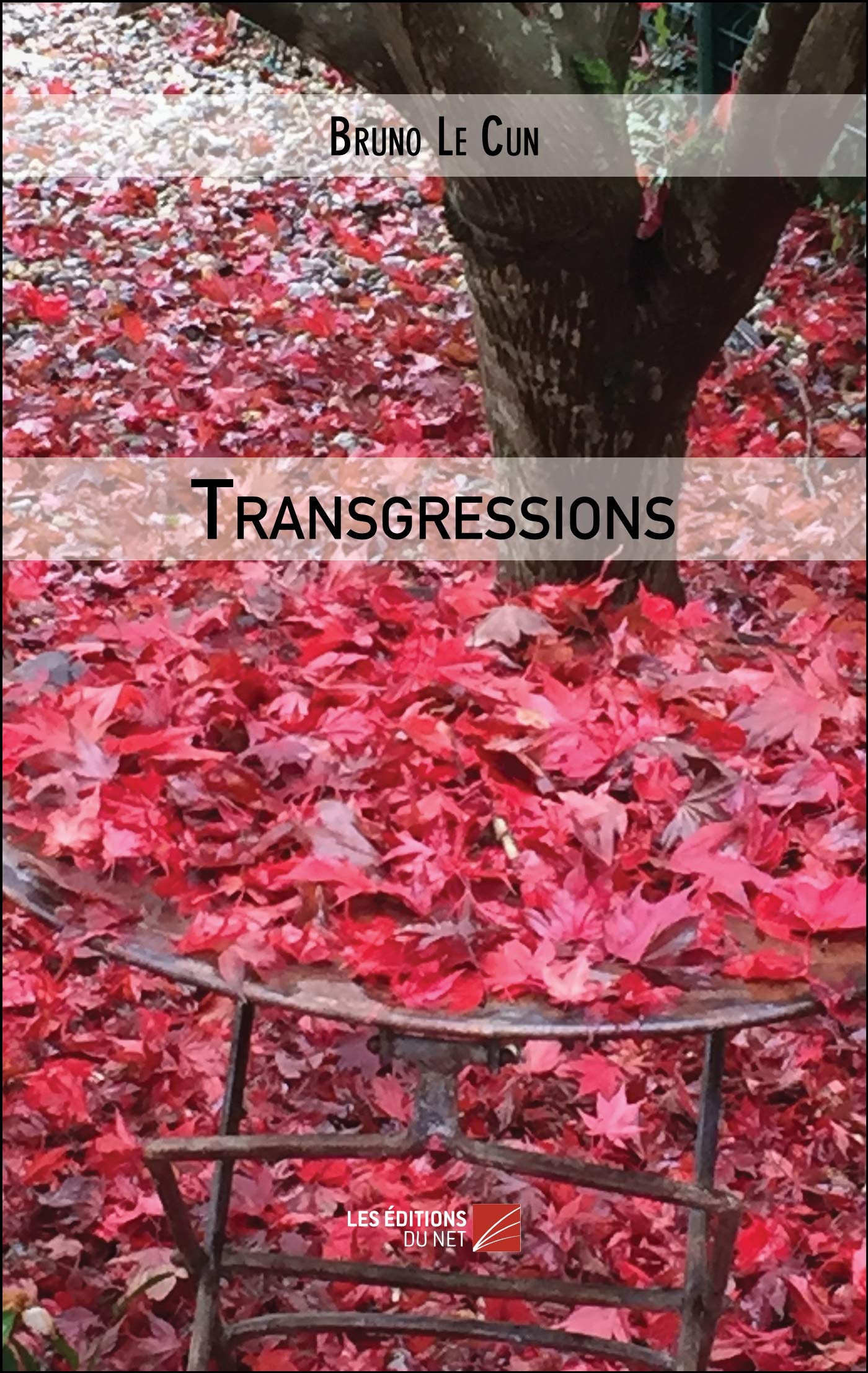 Transgressions Essays & Short Stories
