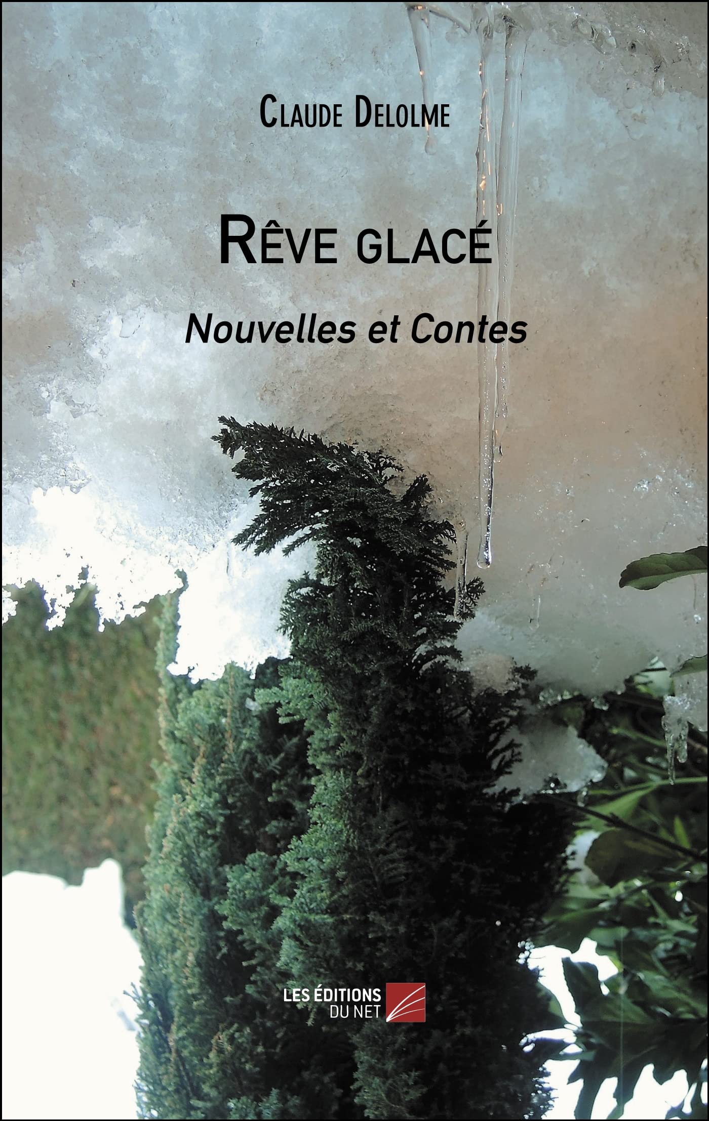 Rêve glacé: Nouvelles et Contes book