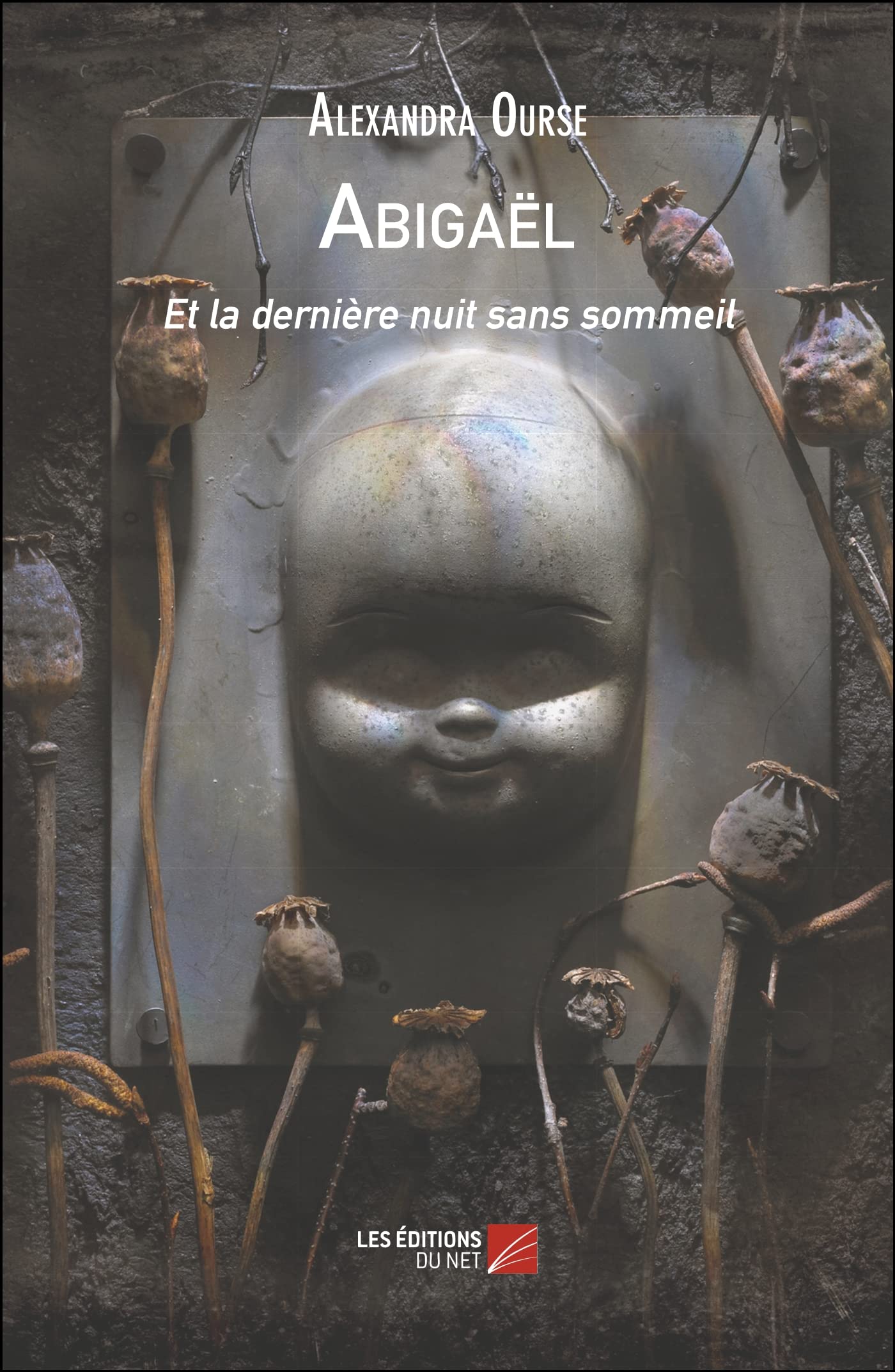 Abigaël: Et la dernière nuit sans sommeil Contemporary literature