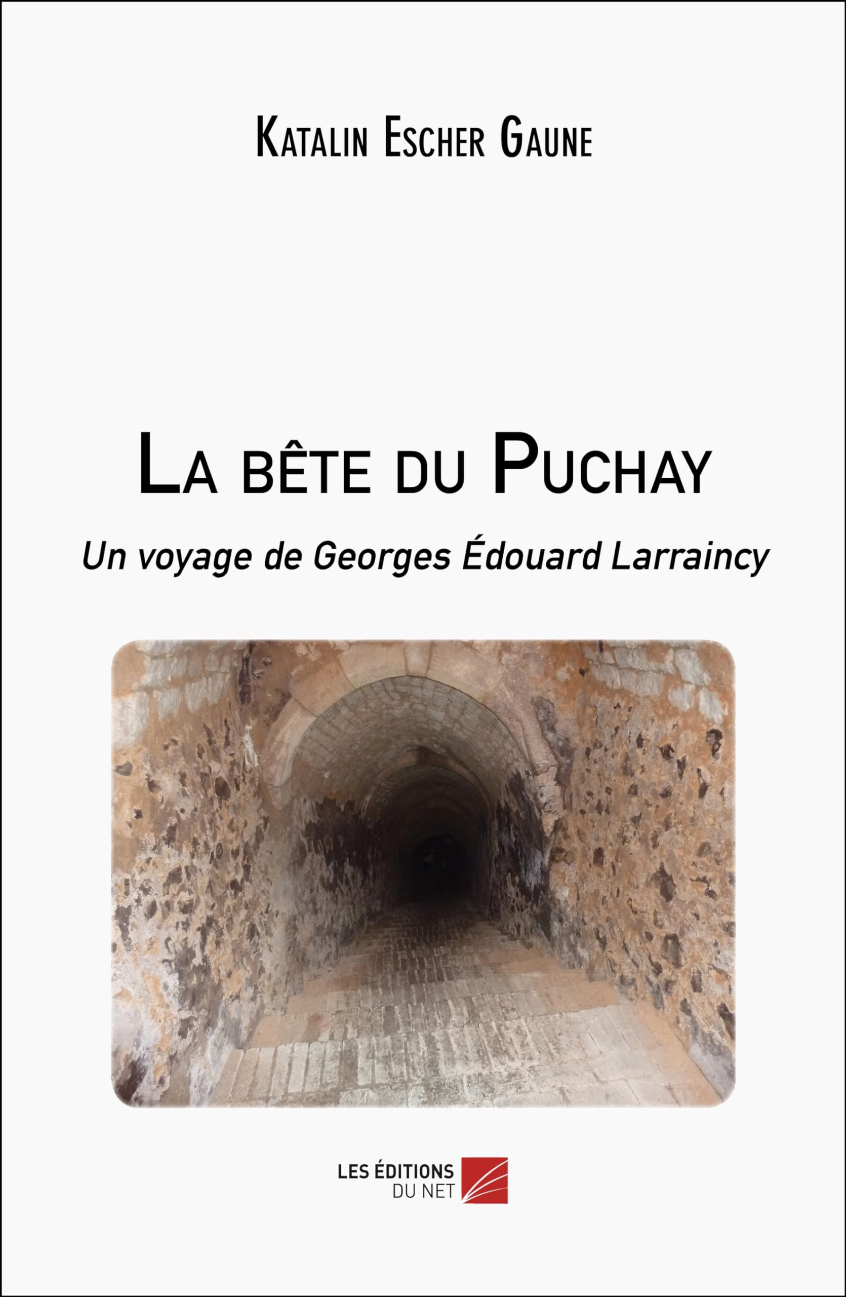 La bête du Puchay: Un voyage de Georges Edouard Larraincy book