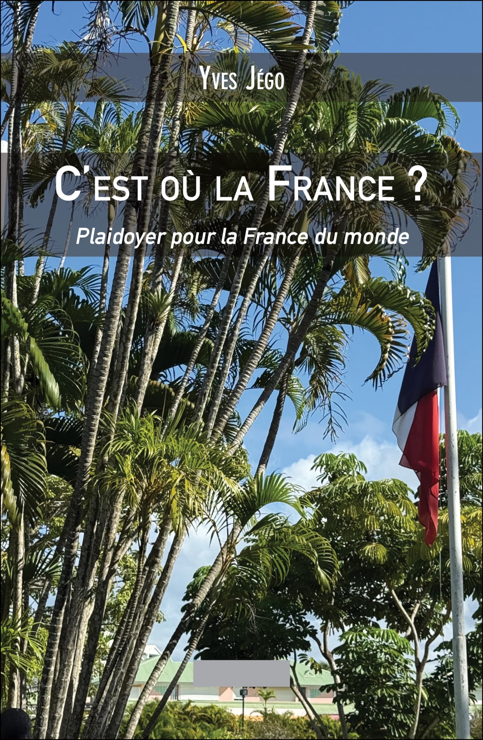 C'est où la France ?: Plaidoyer pour la France du monde Essays & Short Stories