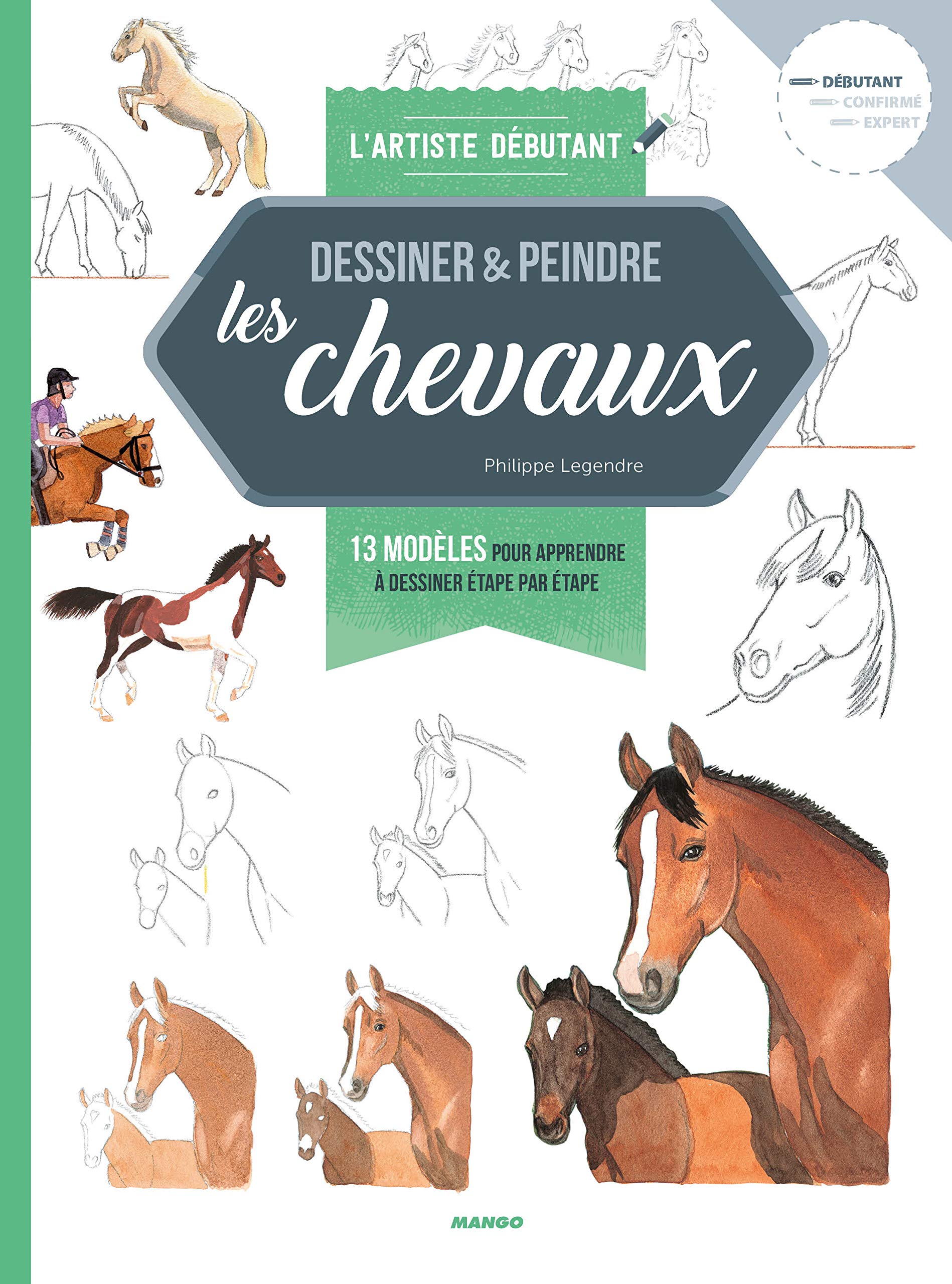 Dessiner et peindre les chevaux: 13 modèles pour apprendre à dessiner étape par étape Hobbies & Crafts