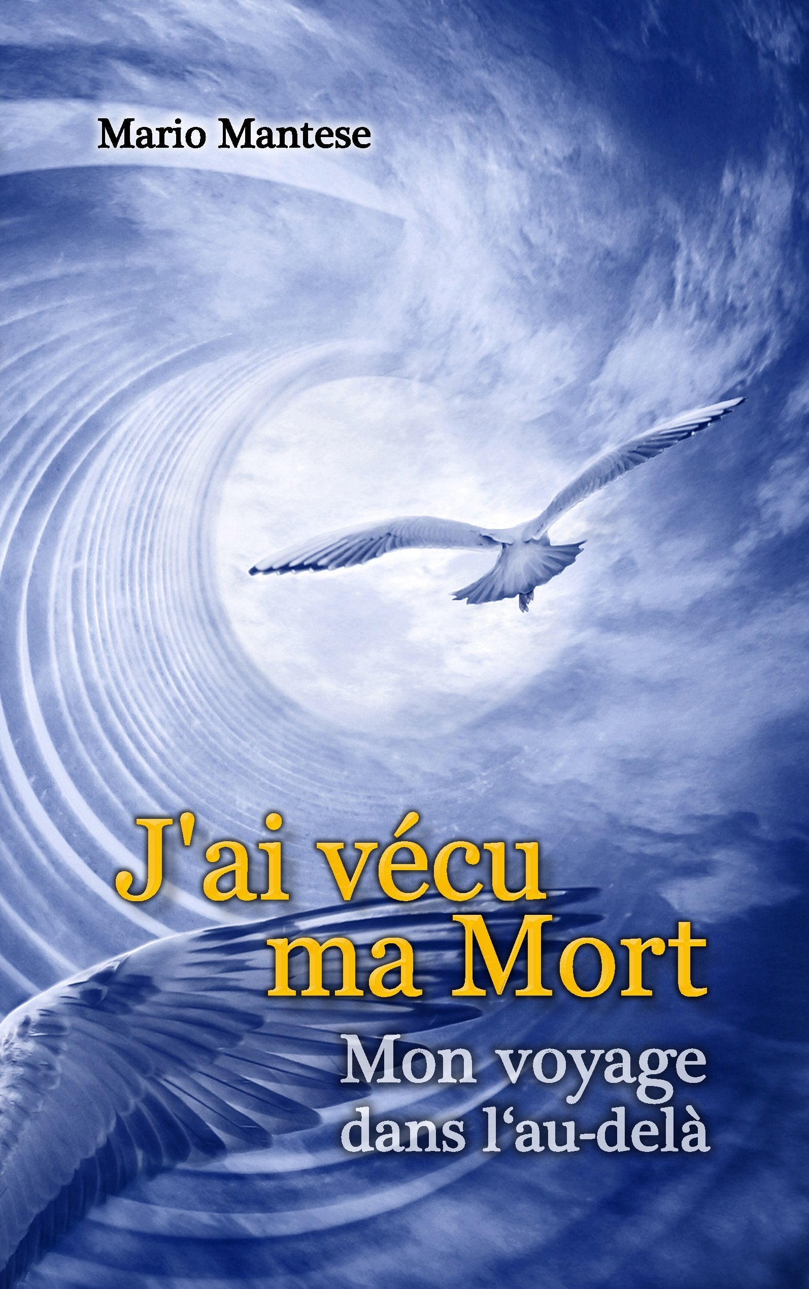 J'ai vécu ma mort: Mon voyage dans l'au-delà book
