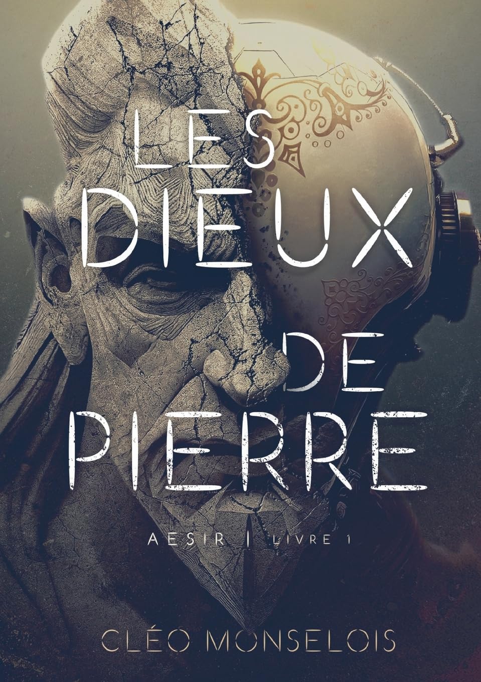 Les Dieux de Pierre: Aesir - Livre 1 book
